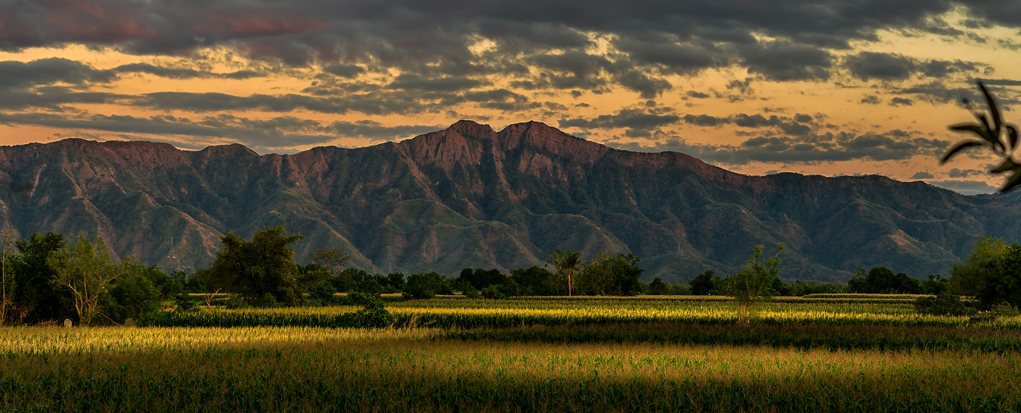 Nikon D5100 + Sigma 50mm F1.4 DG HSM Art sample photo. Countryside photography