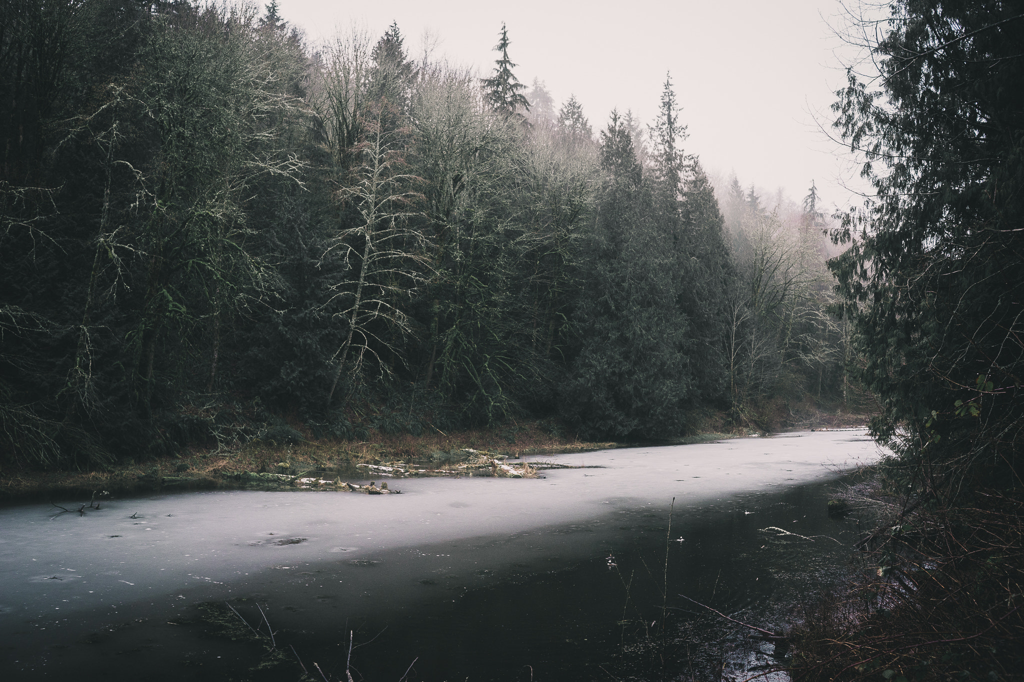 Sony a7 + Sony FE 28mm F2 sample photo. Stimson reserve photography