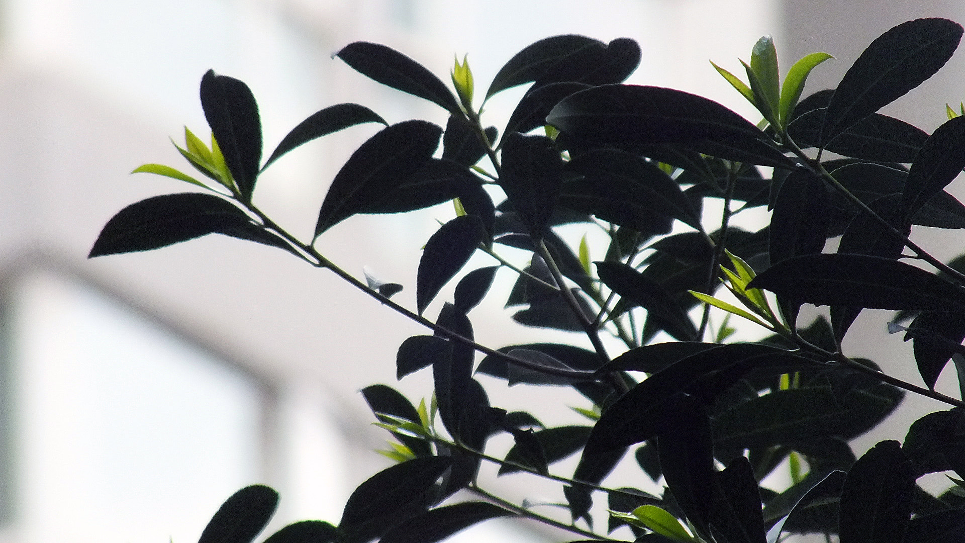 Fujifilm FinePix HS33EXR sample photo
