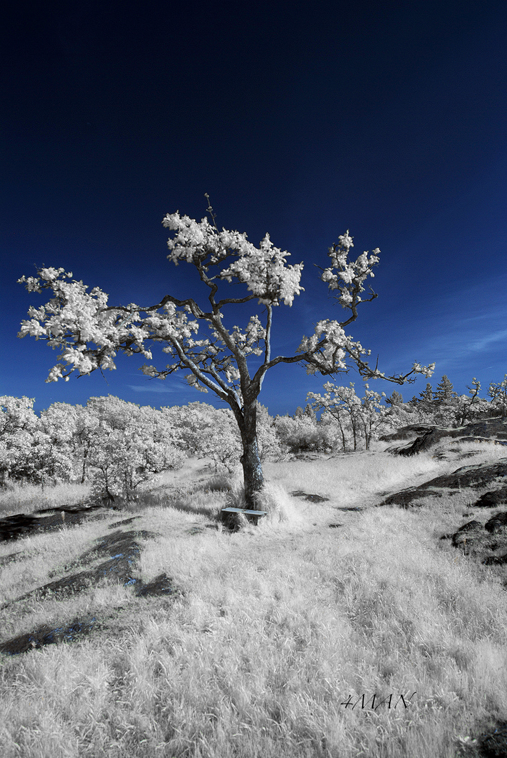 Nikon AF-S Nikkor 14-24mm F2.8G ED sample photo. Ir- a place to sit photography