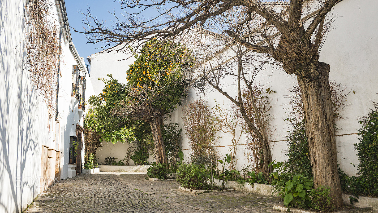 AF Zoom-Nikkor 35-70mm f/2.8D sample photo. Streets of ronda photography