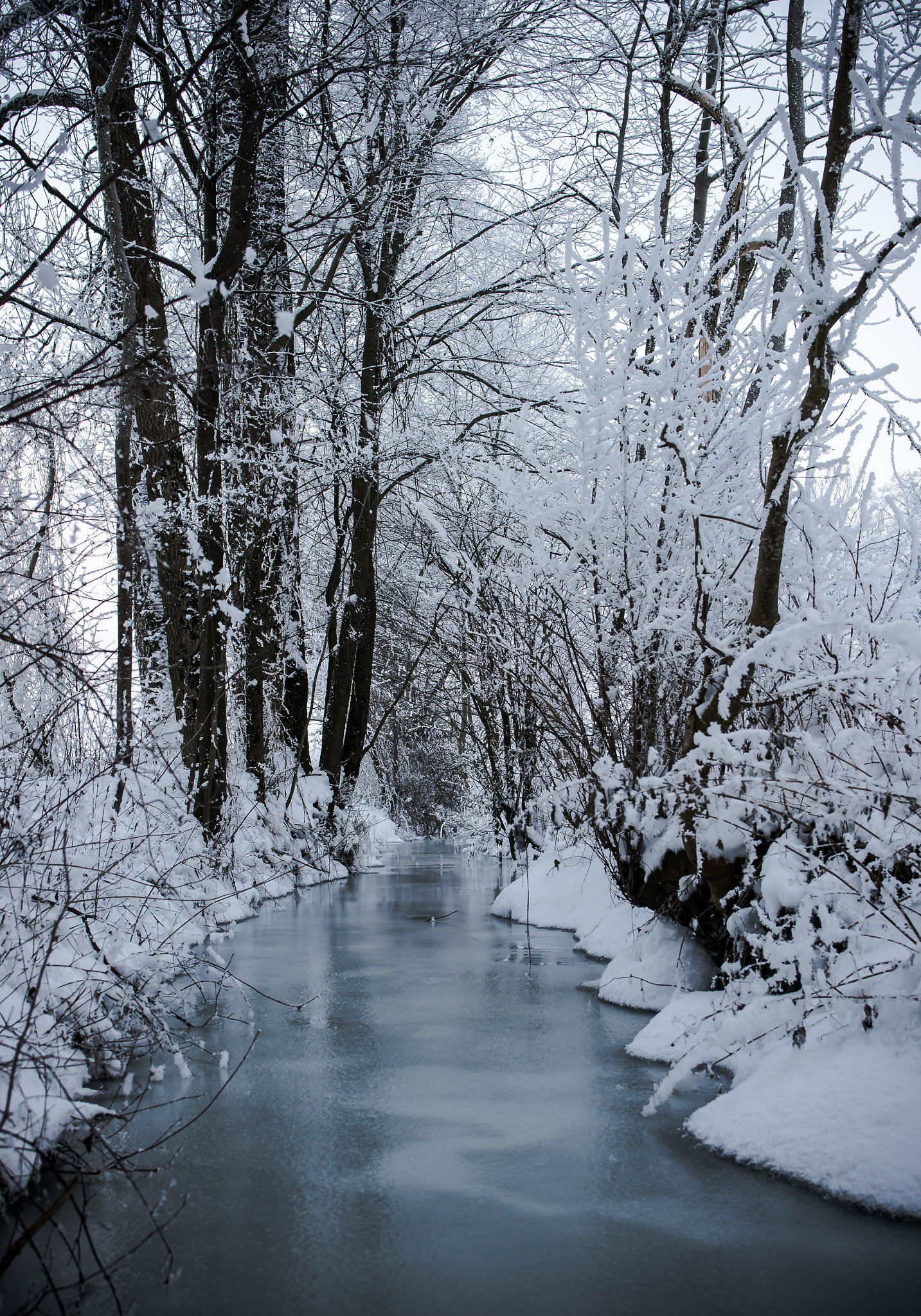 Nikon D600 + Tamron SP 35mm F1.8 Di VC USD sample photo. Frozen lake photography