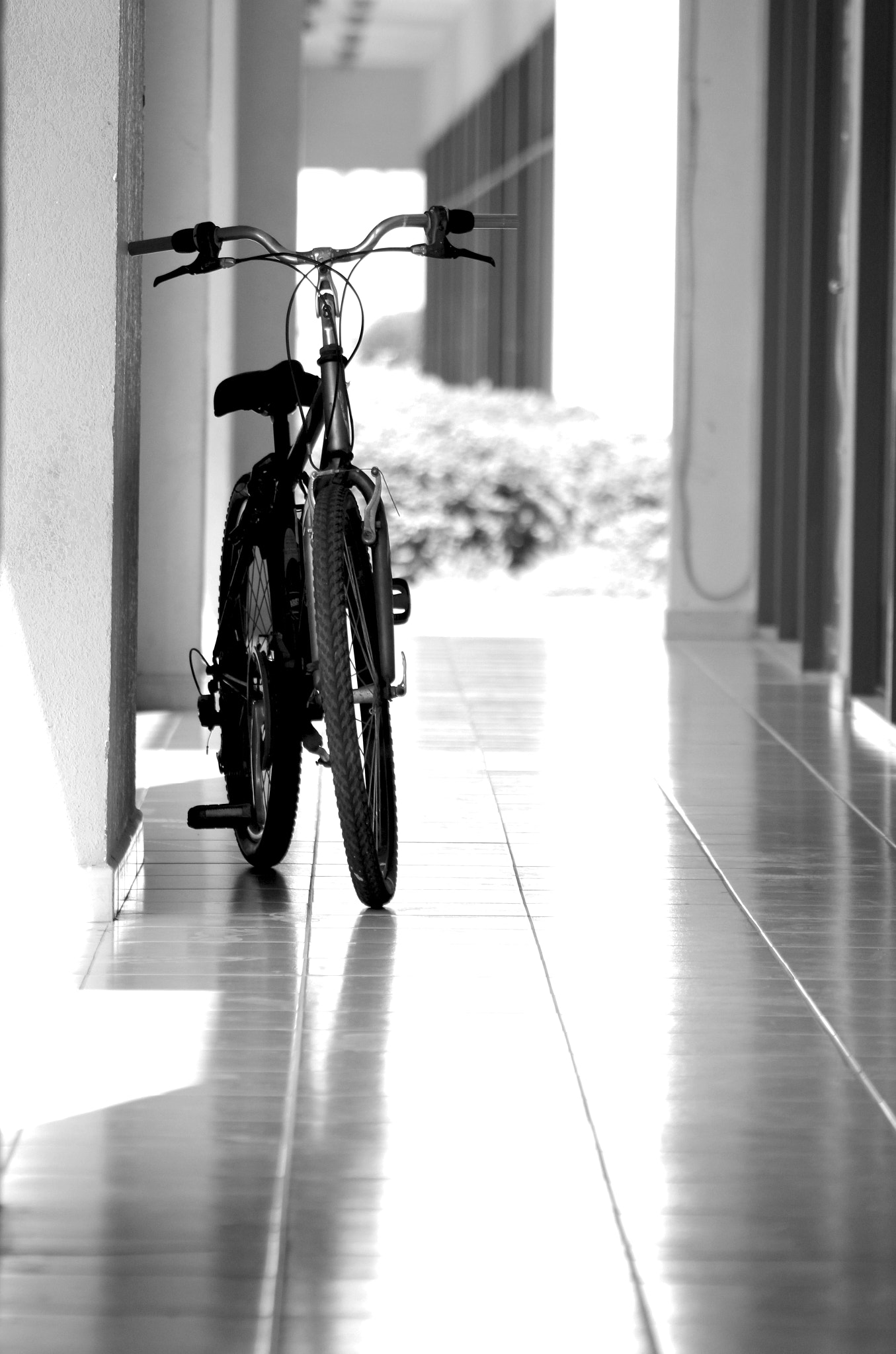 Canon EOS 1300D (EOS Rebel T6 / EOS Kiss X80) + EF75-300mm f/4-5.6 sample photo. Let's ride photography