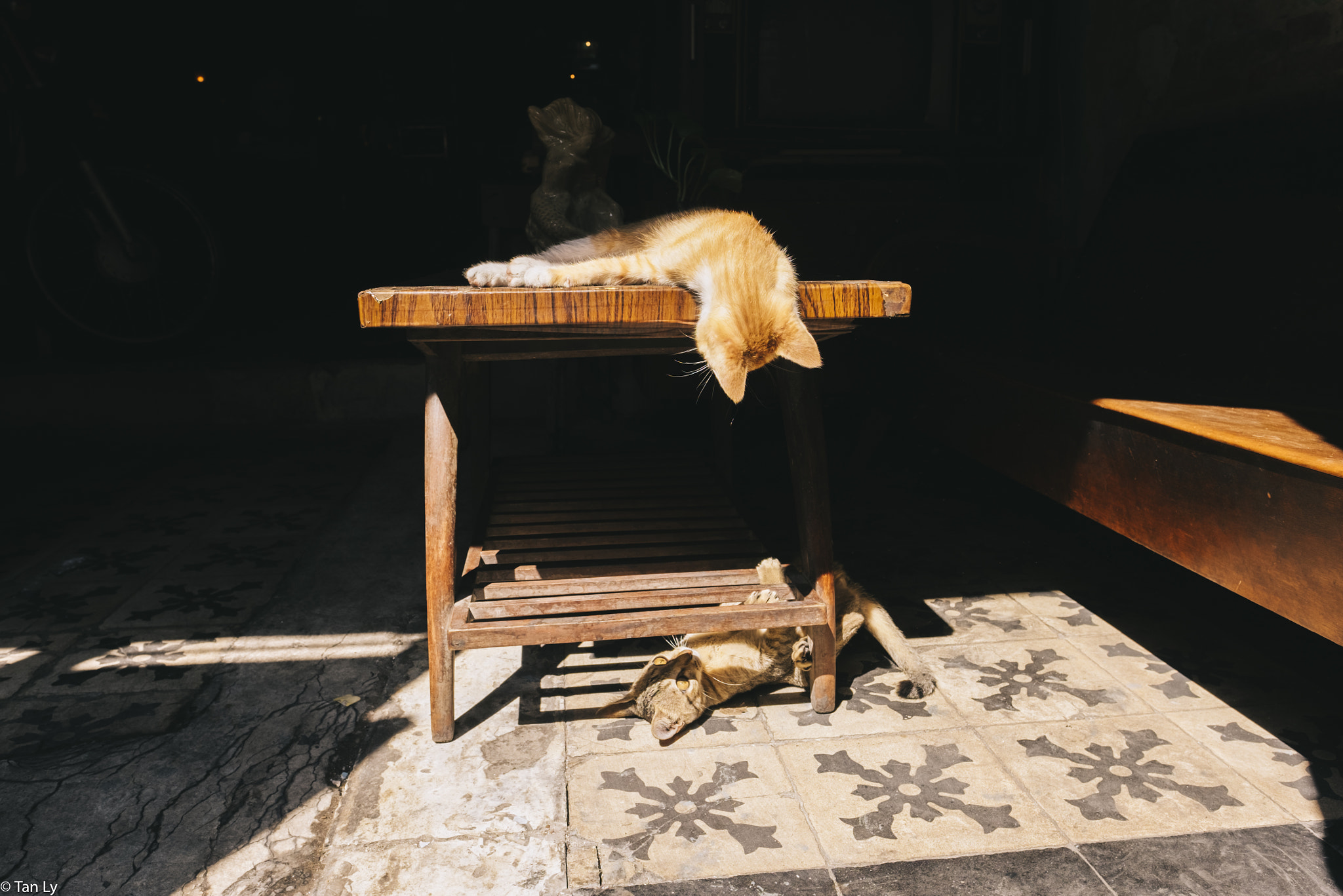 Fujifilm XF 16mm F1.4 R WR sample photo. Dsf photography