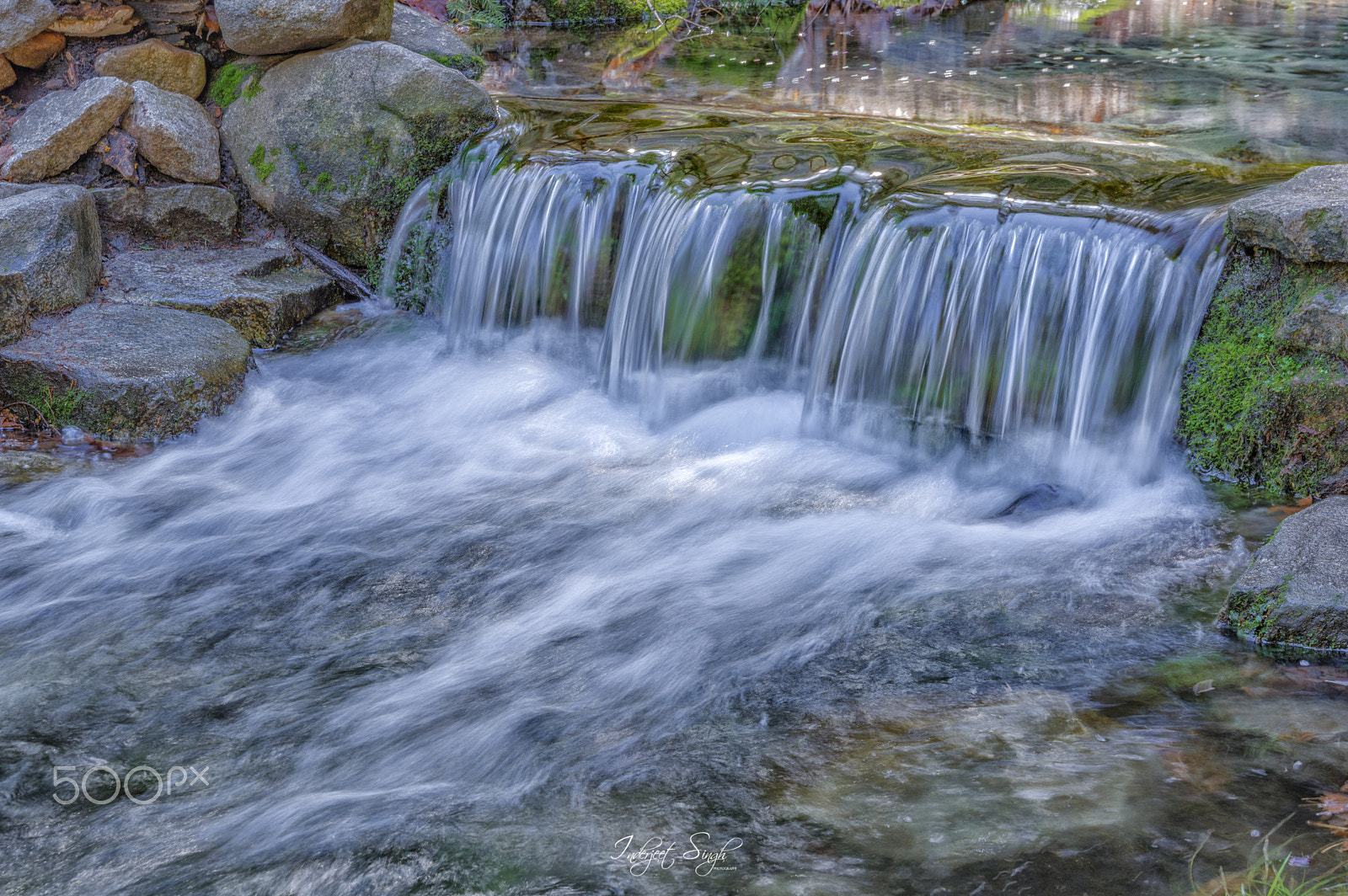 Pentax smc DA* 16-50mm F2.8 ED AL (IF) SDM sample photo. Fern spring!! photography