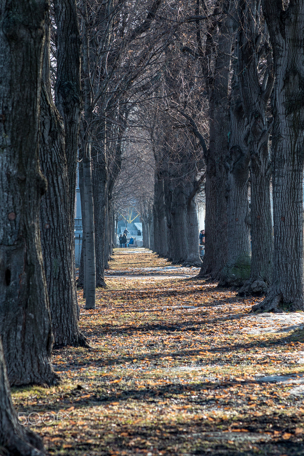 Canon EF 28-135mm F3.5-5.6 IS USM sample photo. тени photography