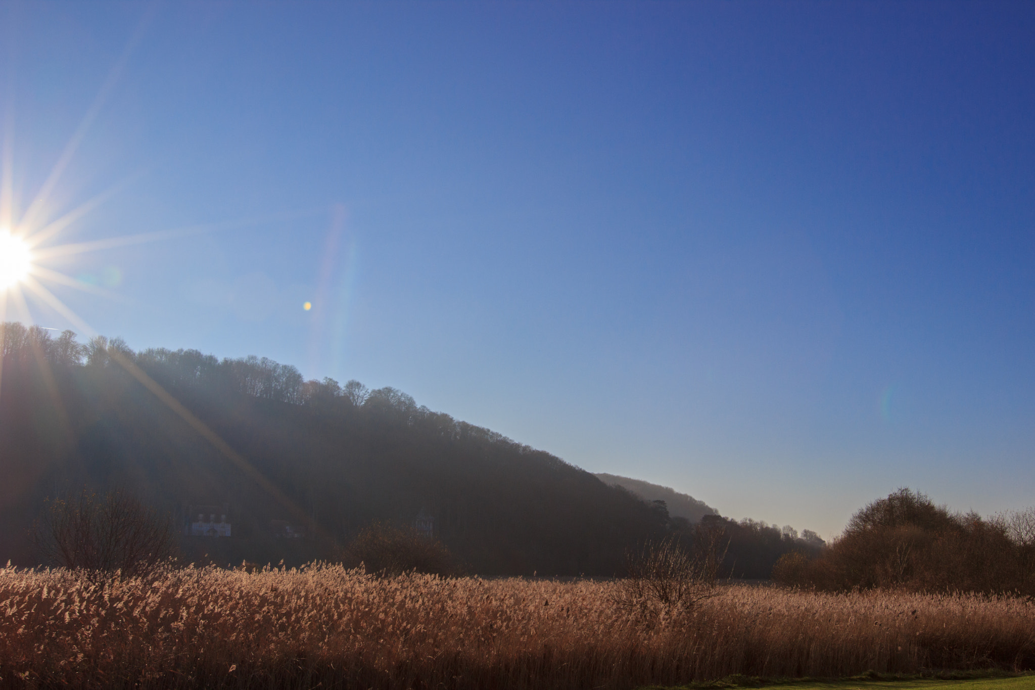 Canon EF 16-35mm F2.8L II USM sample photo. Ensoleillé photography