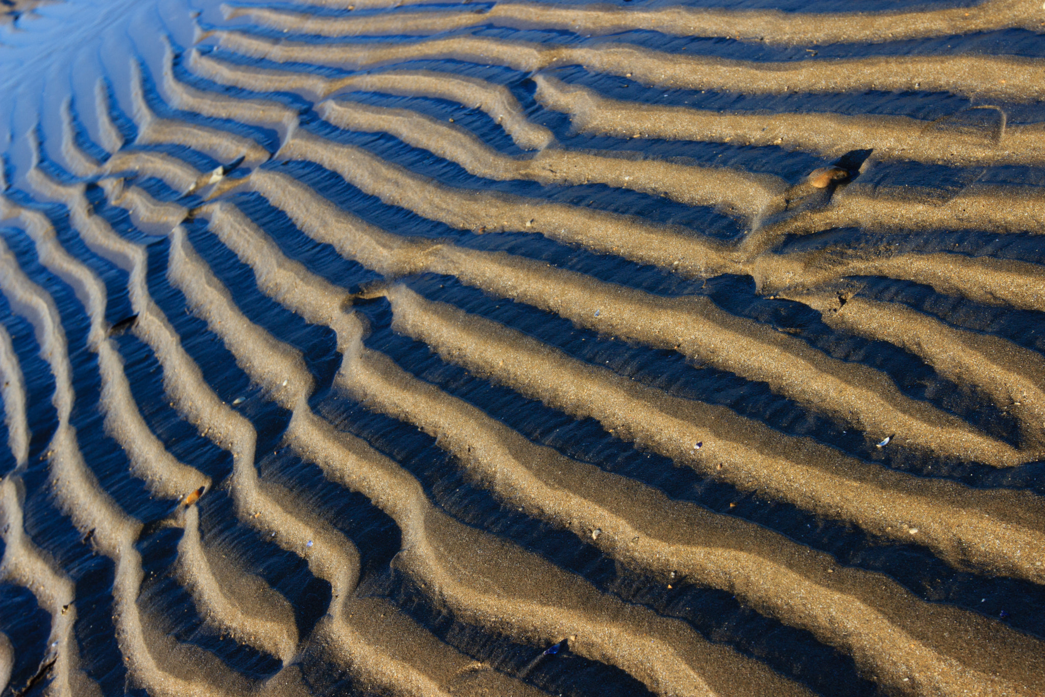 Canon EF 16-35mm F2.8L II USM sample photo. Vague de sable photography