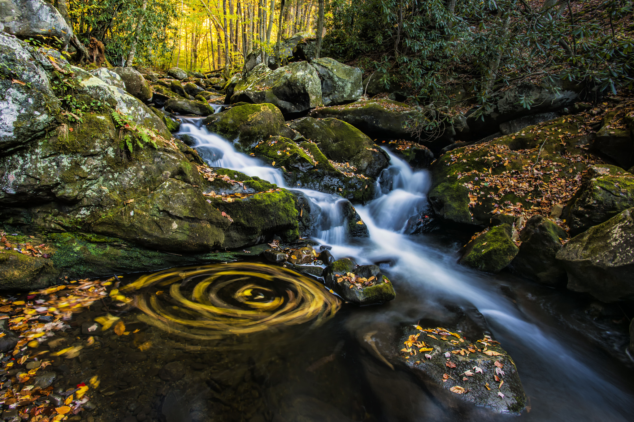 Nikon D810 + Nikon AF-S Nikkor 17-35mm F2.8D ED-IF sample photo. Autumn stream in smoky mountains photography