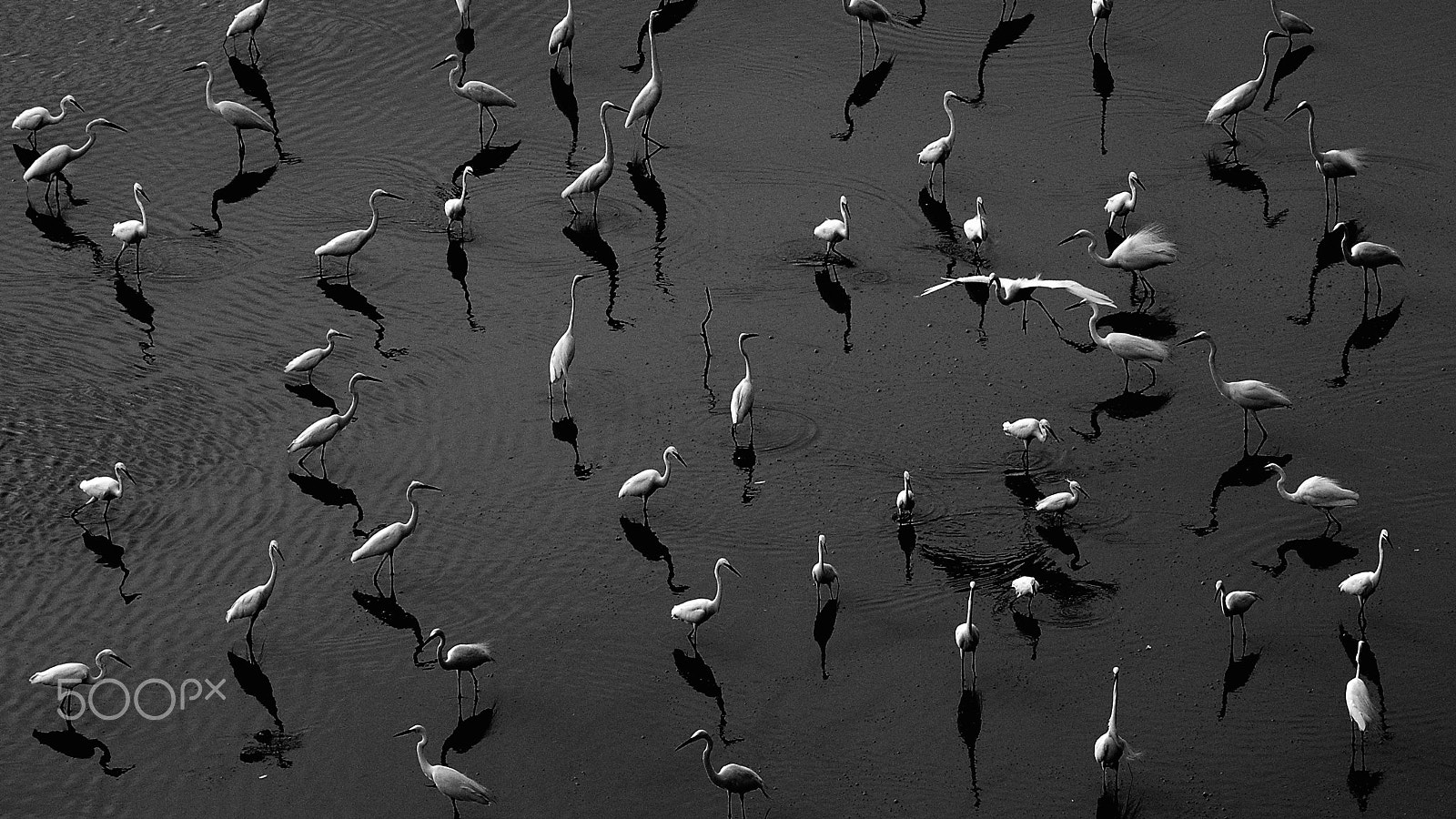 Nikon D70s sample photo. In the mood for fishing photography