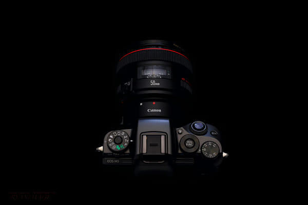 Canon EOS-1D X + Canon EF 40mm F2.8 STM sample photos - ExploreCams