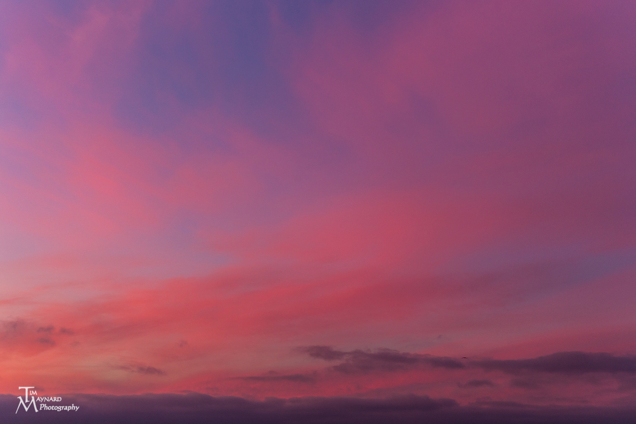 Canon EOS 6D sample photo. Cotton candy sky photography