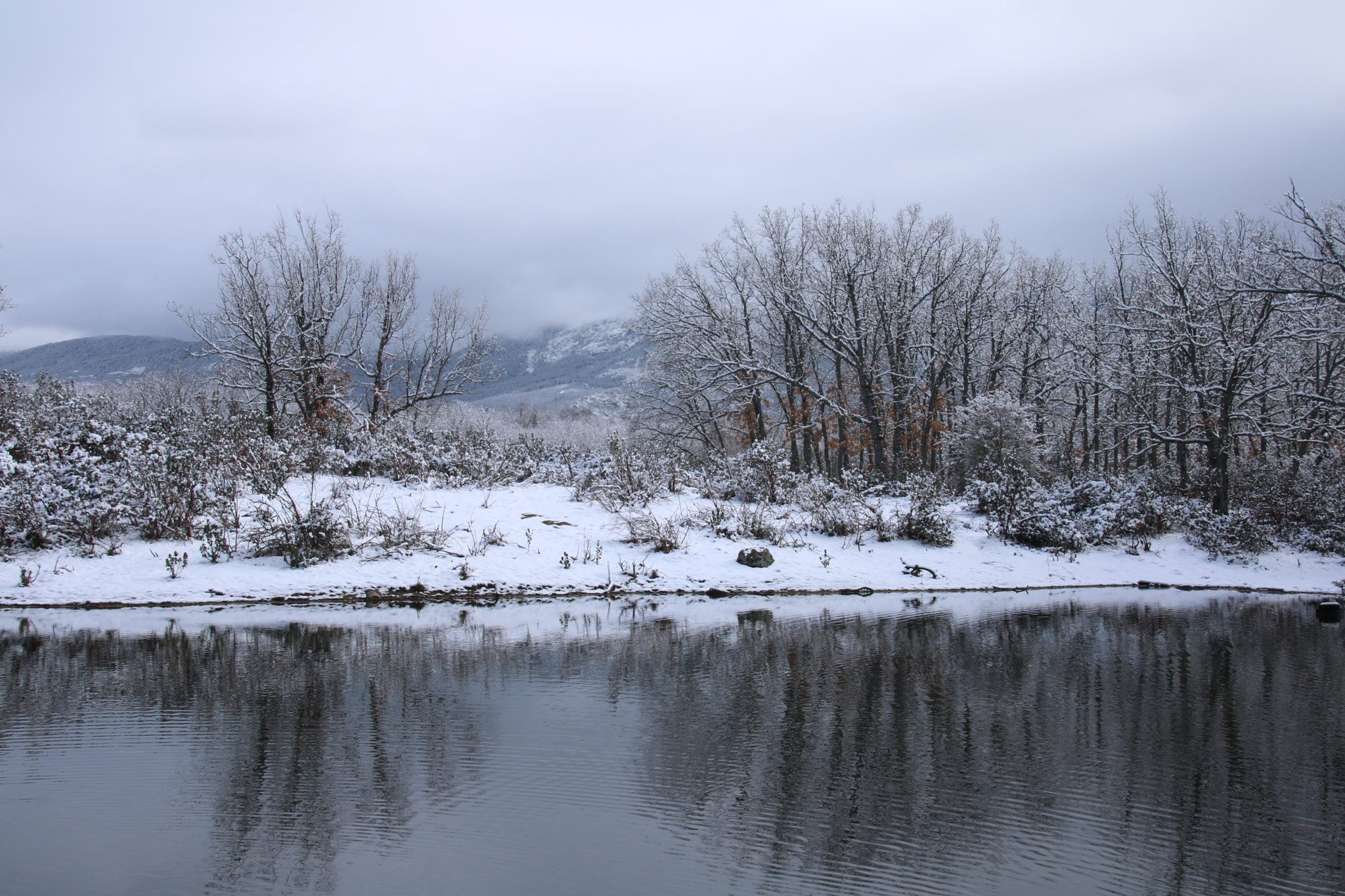 Canon EOS 750D (EOS Rebel T6i / EOS Kiss X8i) + Sigma 18-250mm F3.5-6.3 DC OS HSM sample photo. The forest and the lake photography