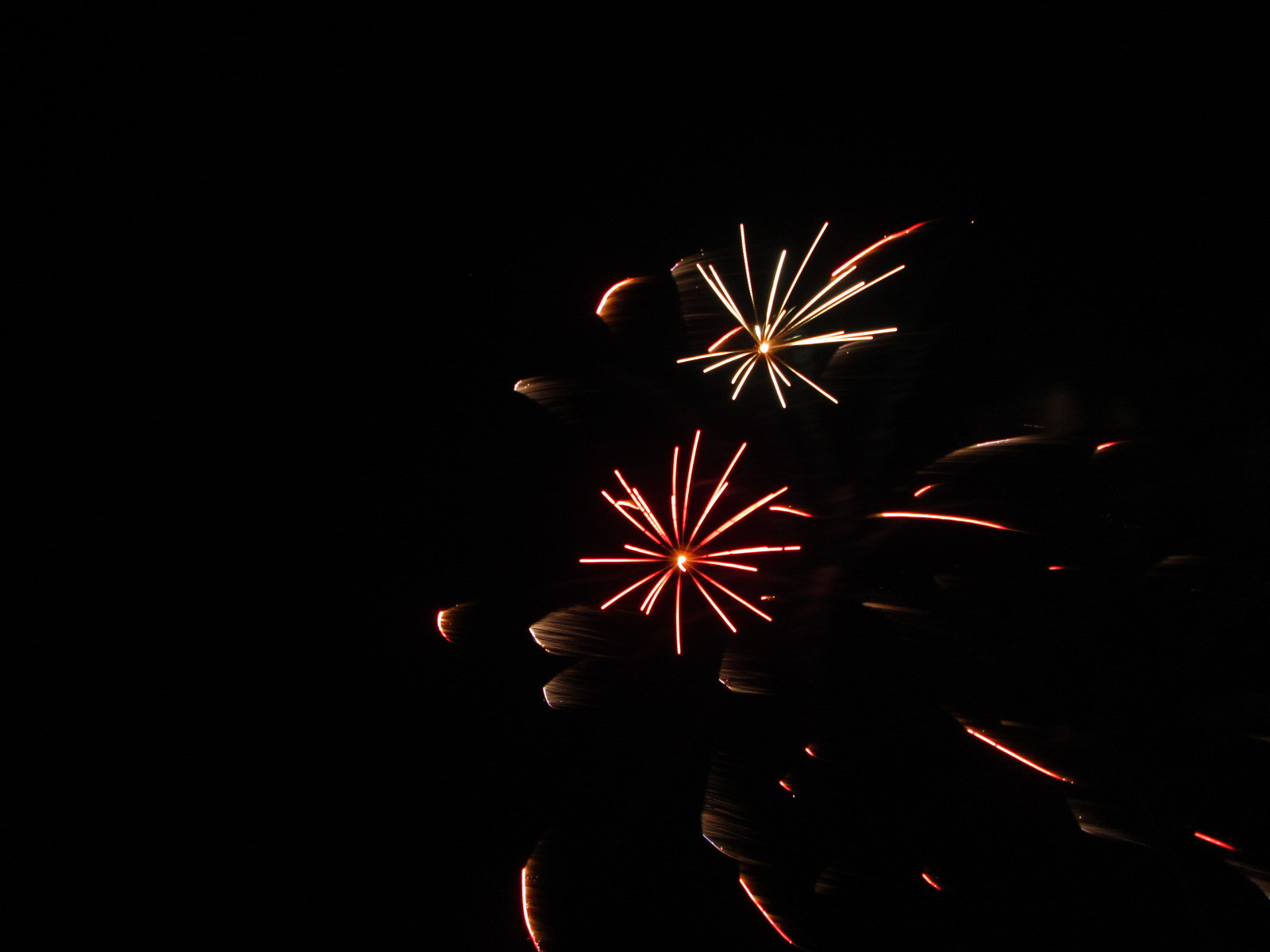 Canon PowerShot A810 sample photo. (canon powershot a) x photography
