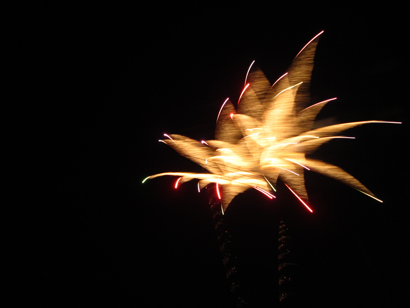 Canon PowerShot A810 sample photo. (canon powershot a) x photography
