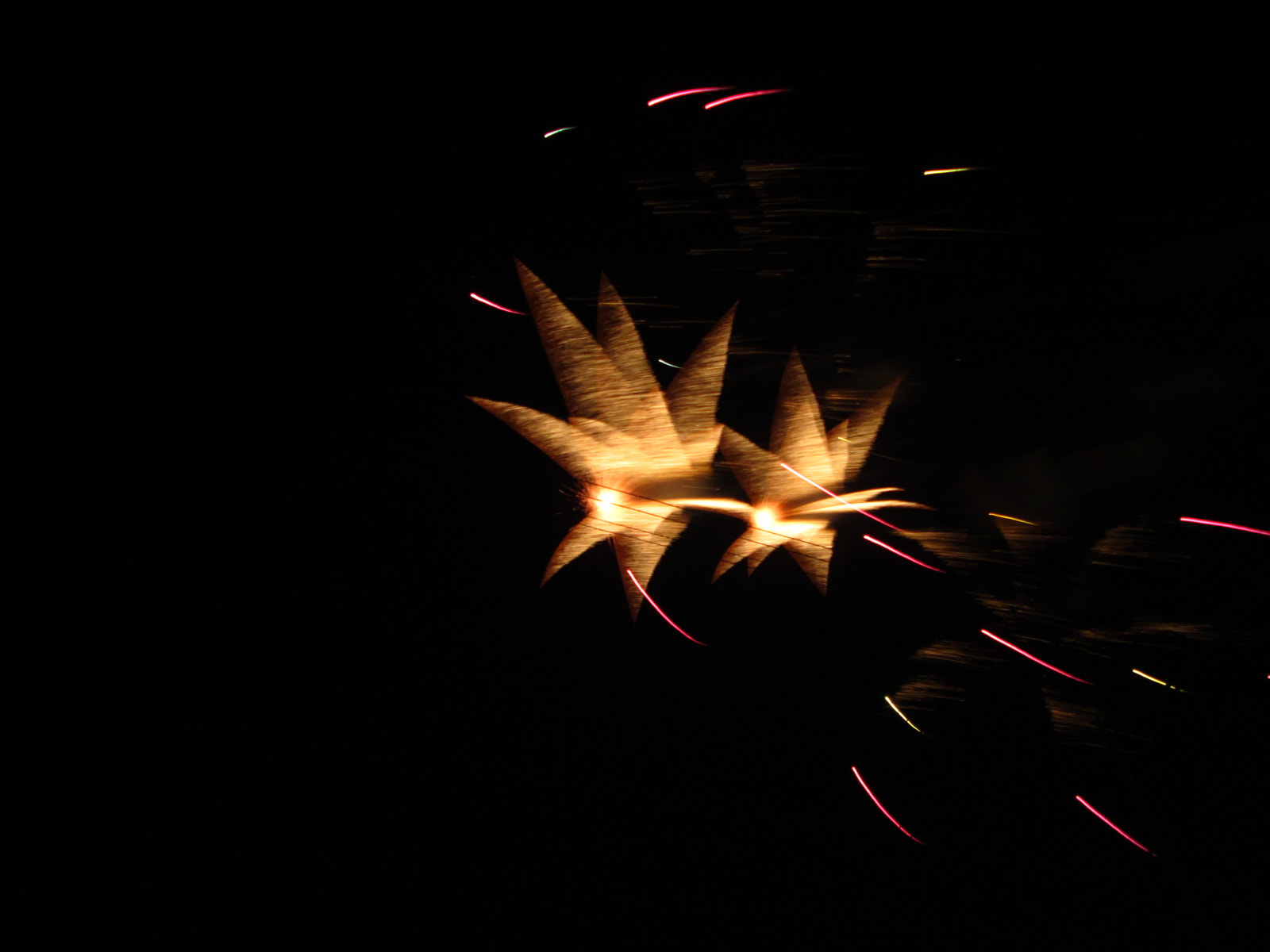 Canon PowerShot A810 sample photo. (canon powershot a) x photography