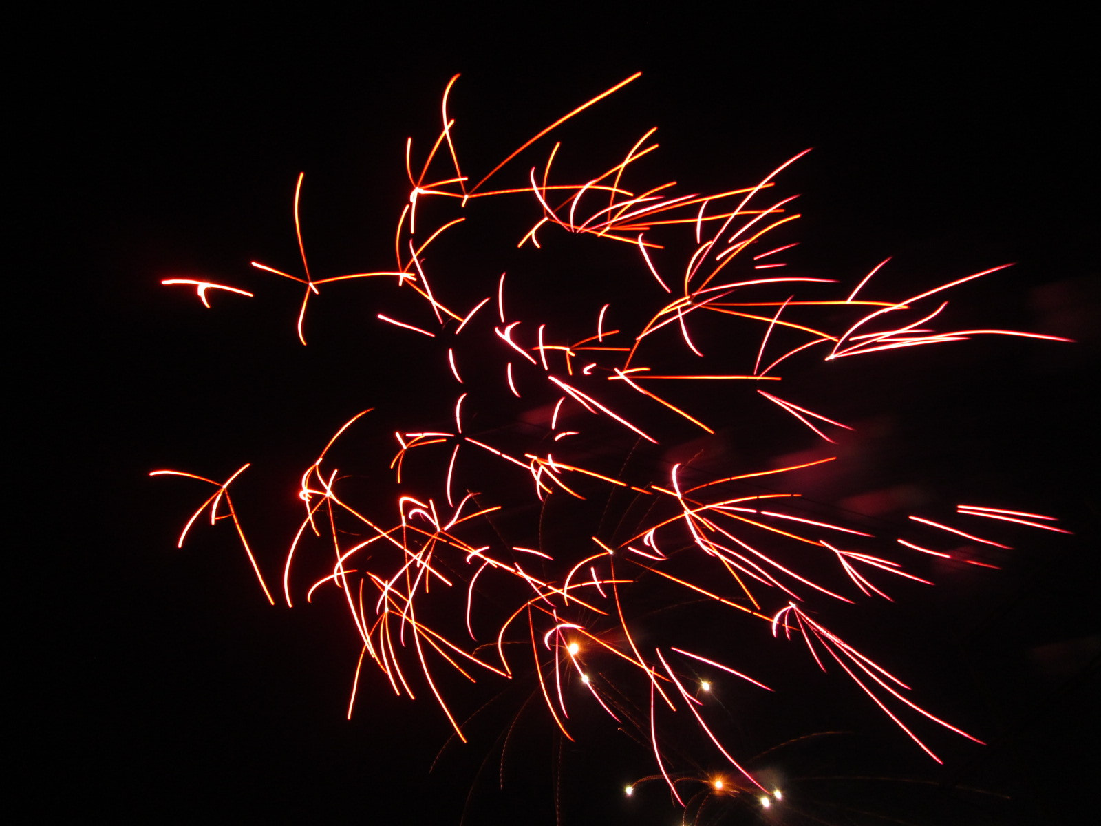 Canon PowerShot A810 sample photo. (canon powershot a) x photography
