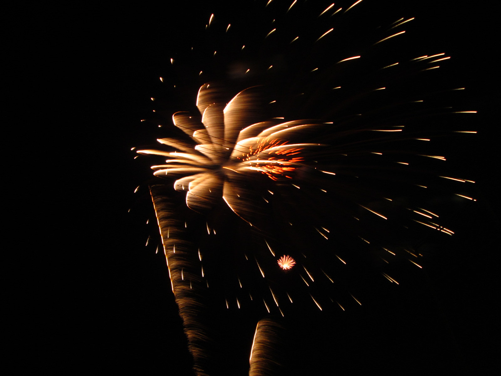 Canon PowerShot A810 sample photo. (canon powershot a) x photography
