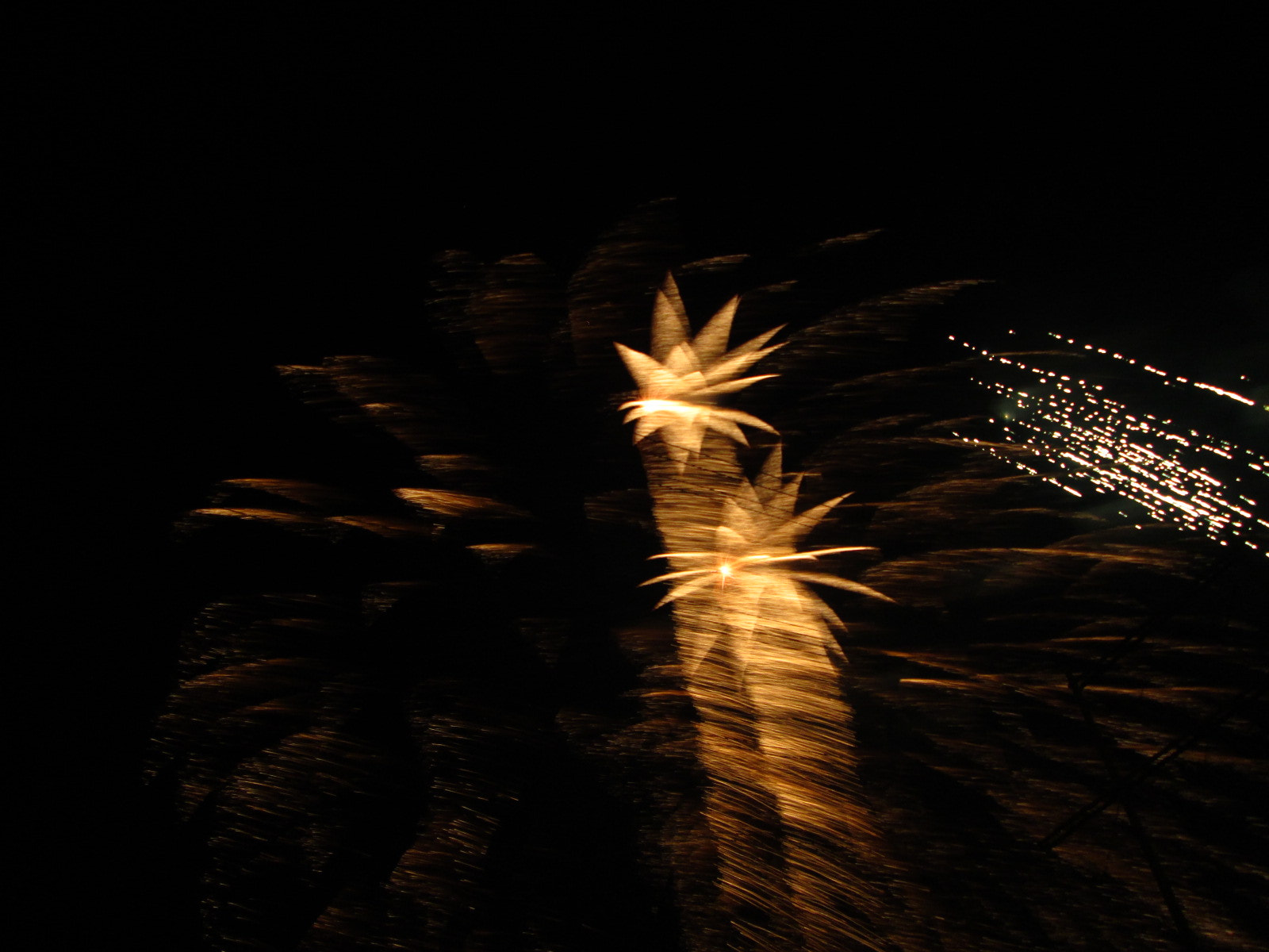 Canon PowerShot A810 sample photo. (canon powershot a) x photography