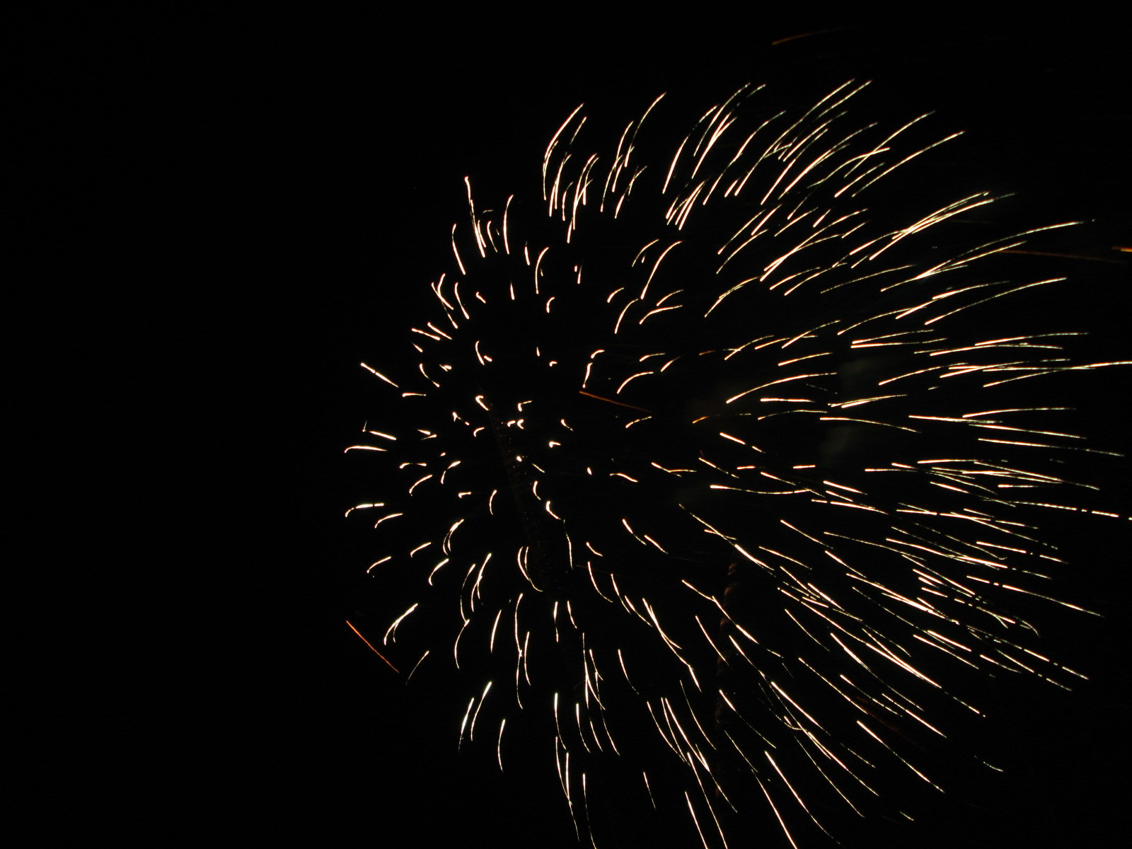 Canon PowerShot A810 sample photo. (canon powershot a) x photography
