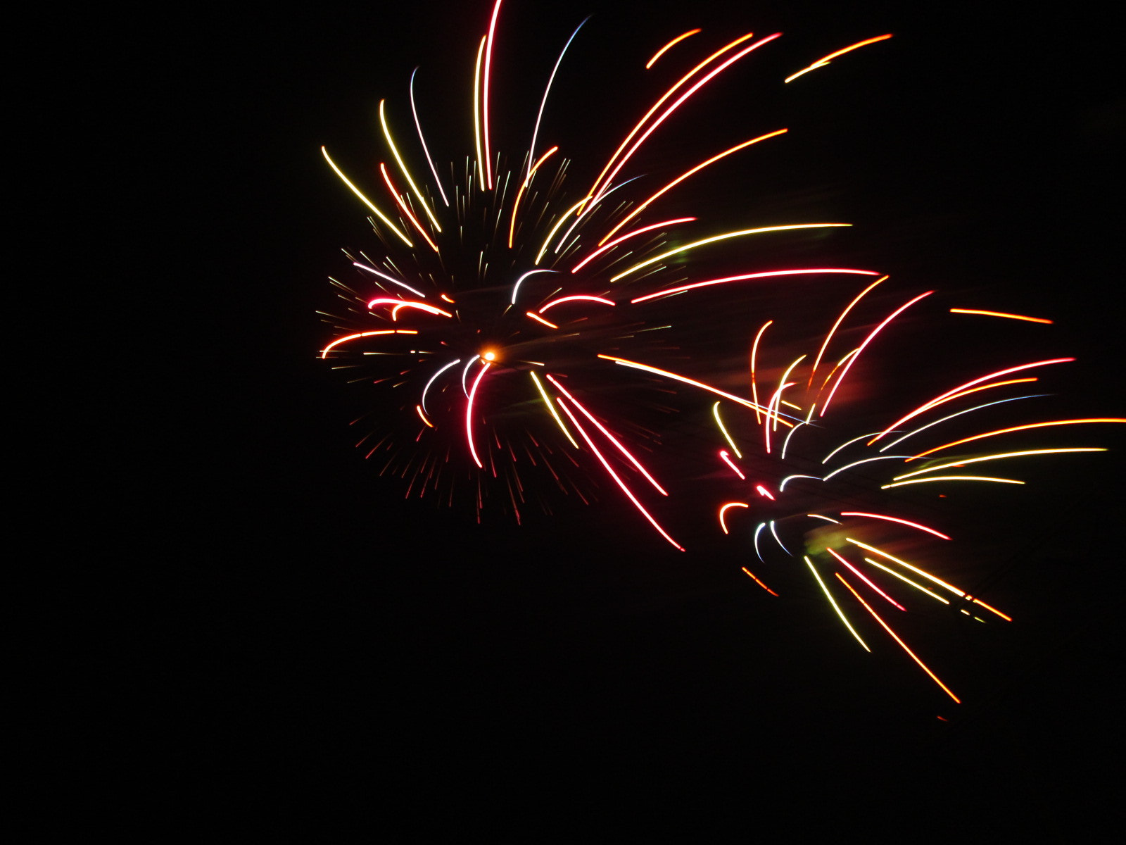 Canon PowerShot A810 sample photo. (canon powershot a) x photography