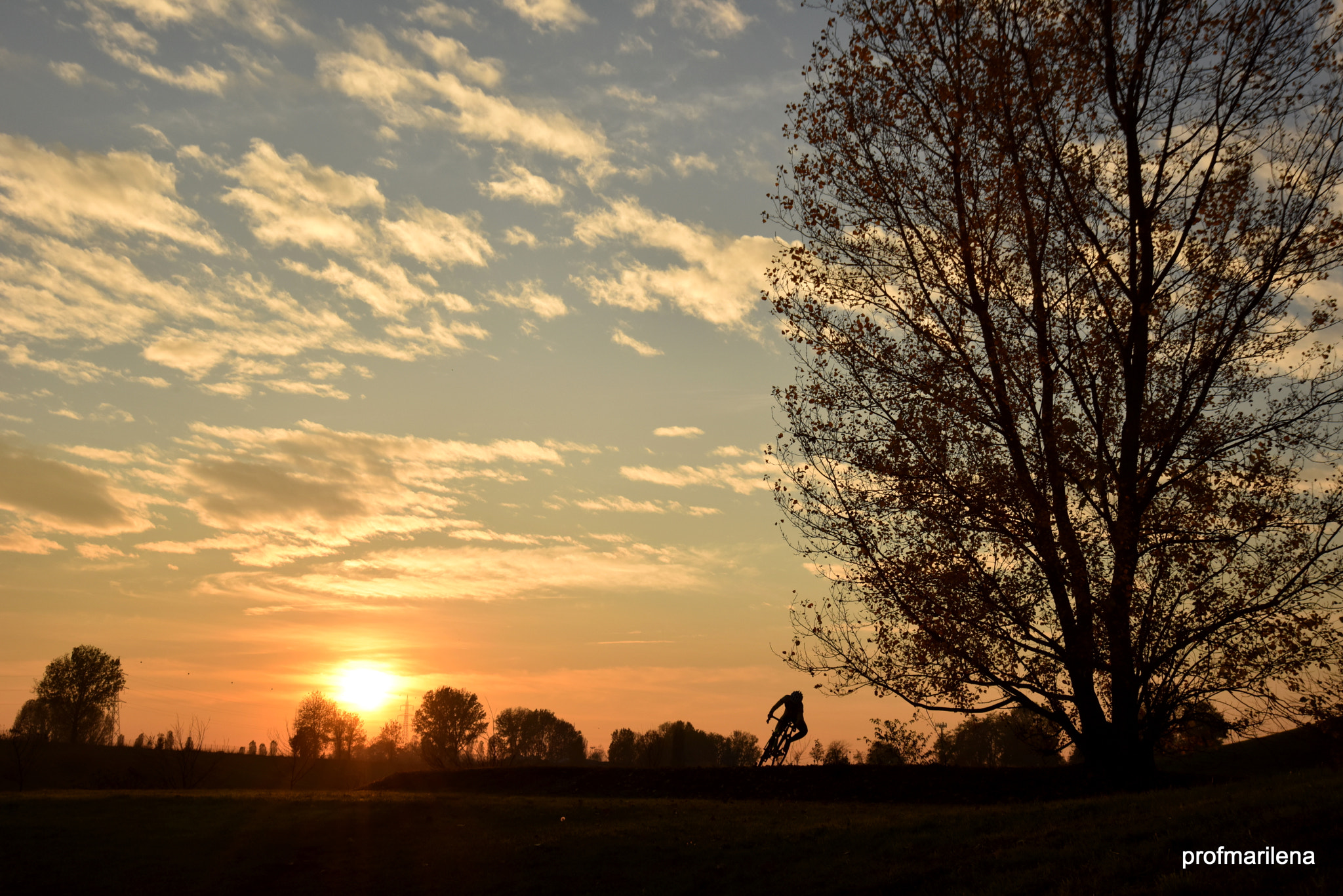 Nikon AF Nikkor 24-85mm F2.8-4D IF sample photo. Sunset at the park photography