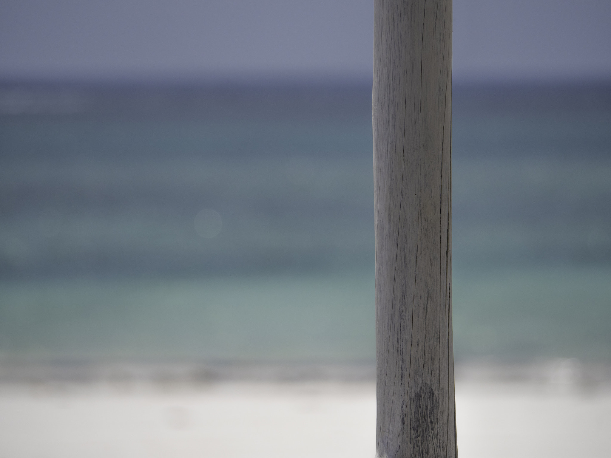 Panasonic Lumix DMC-GX8 sample photo. 138.jpg photography