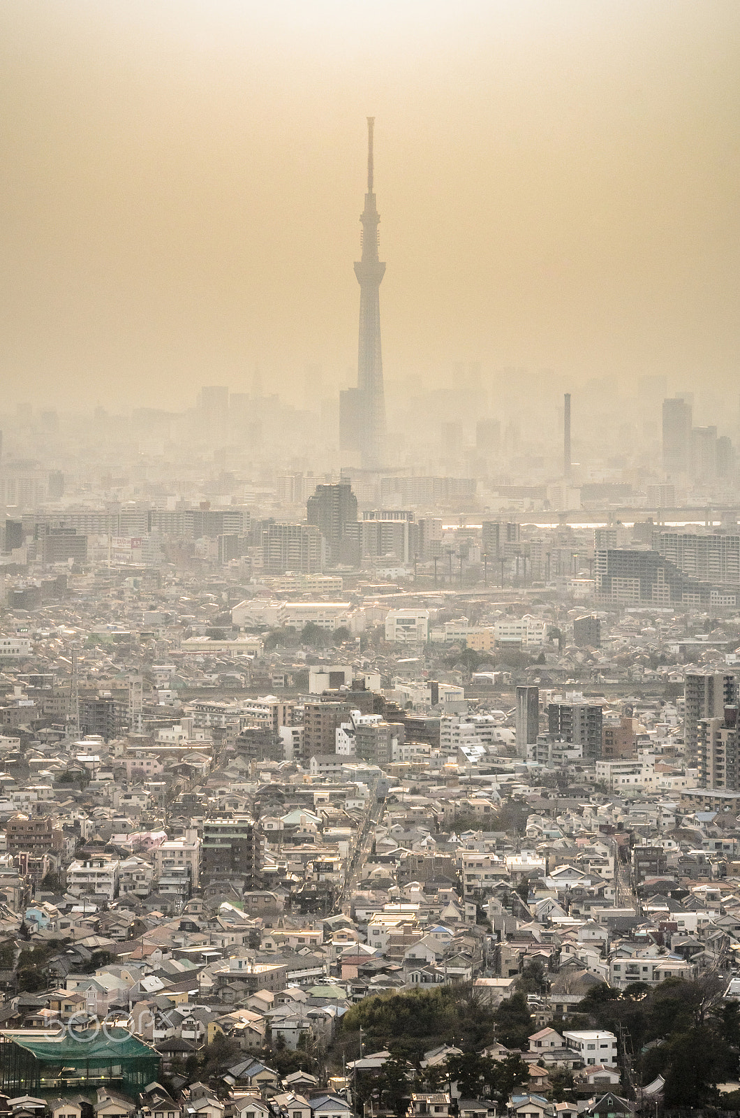 Sigma 70-300mm F4-5.6 APO DG Macro sample photo. Spring haze photography