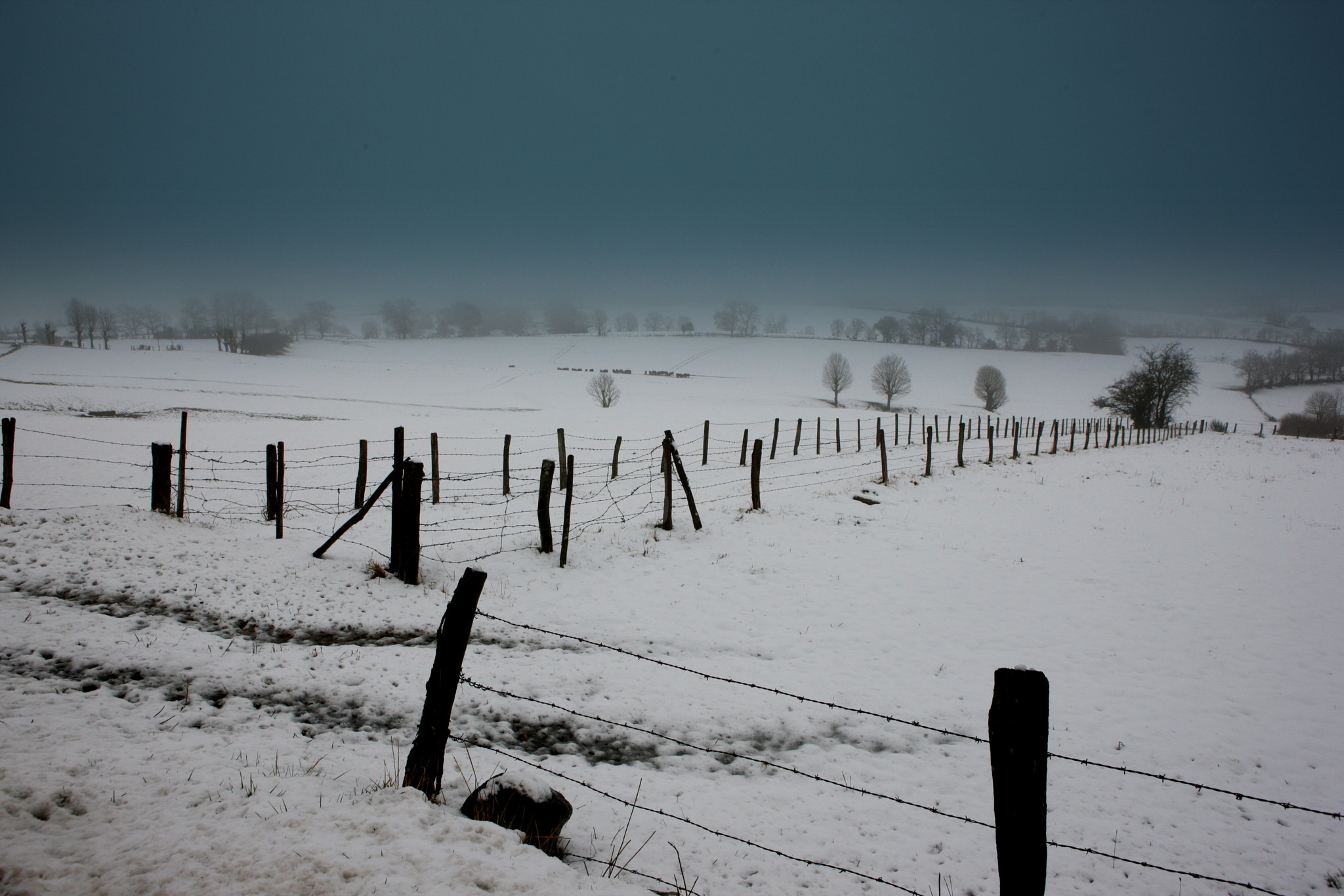 Canon EOS-1Ds Mark III sample photo. Ft photography
