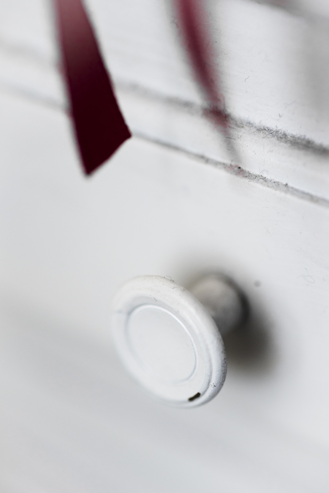 Nikon AF Micro-Nikkor 60mm F2.8D sample photo. Pomo photography