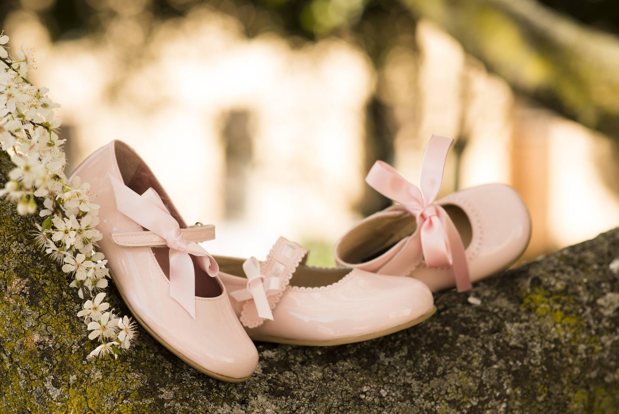 Nikon D750 + Sigma 85mm F1.4 EX DG HSM sample photo. Shoes photography