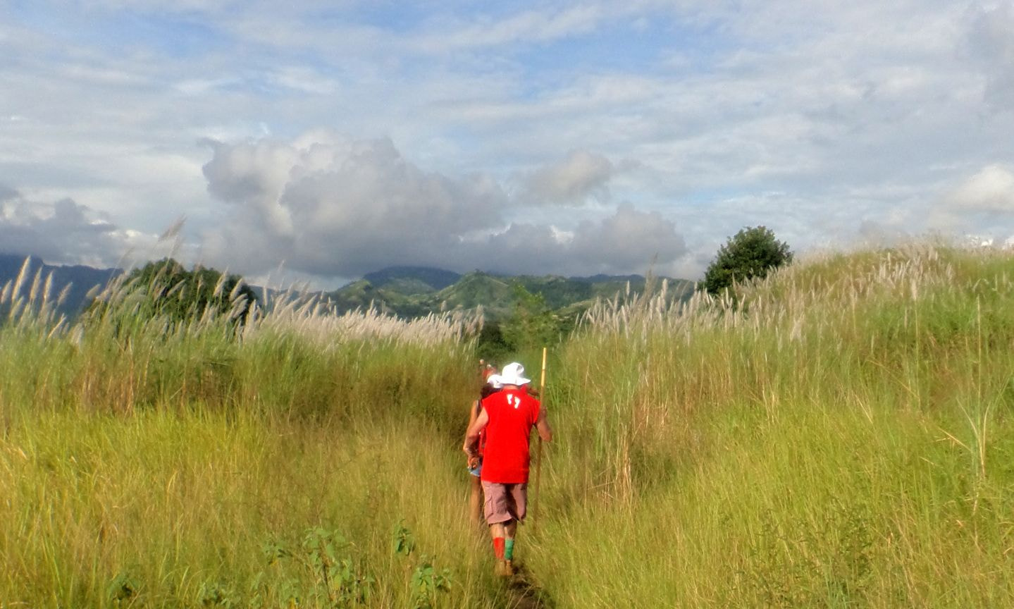 Sony Cyber-shot DSC-TF1 sample photo. Hiking in the tall grass photography