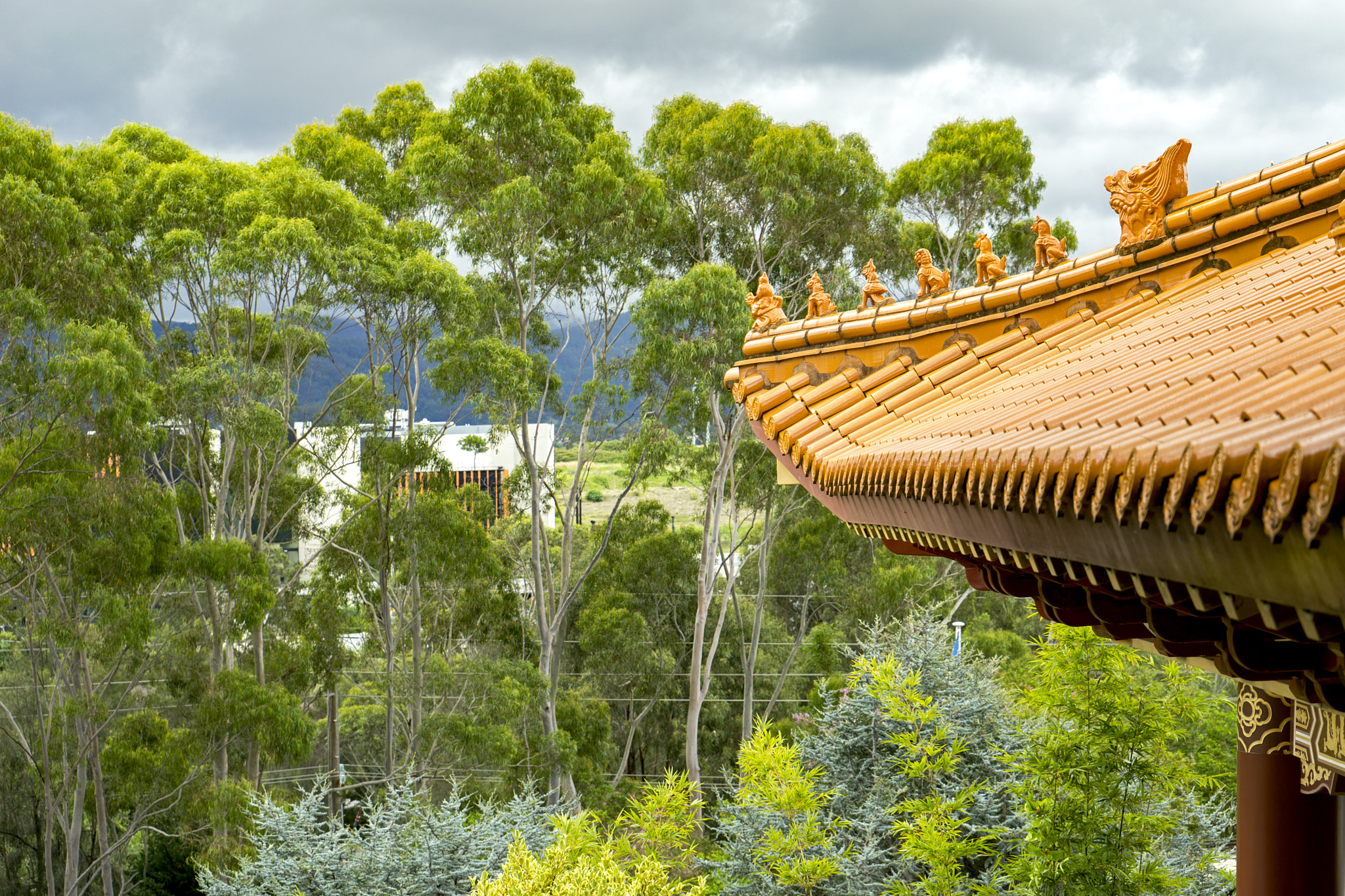 Sony a7R sample photo. Nan tien temple, wollongong, australia. photography