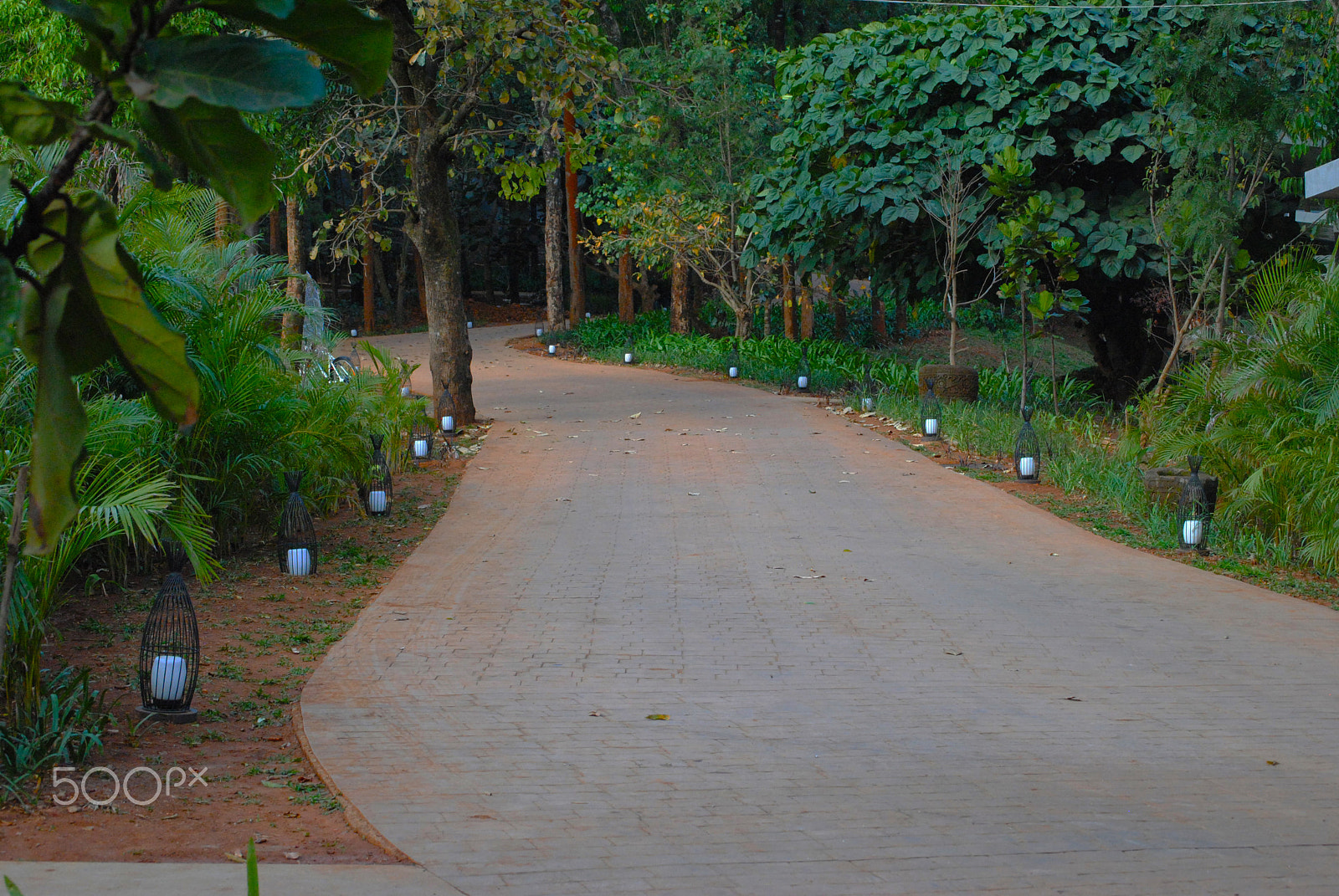 Nikon D3000 sample photo. Road less travelled photography
