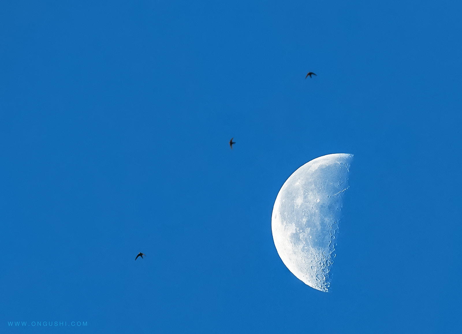 Olympus OM-D E-M10 II sample photo. Sky 2017 05: blue summer photography