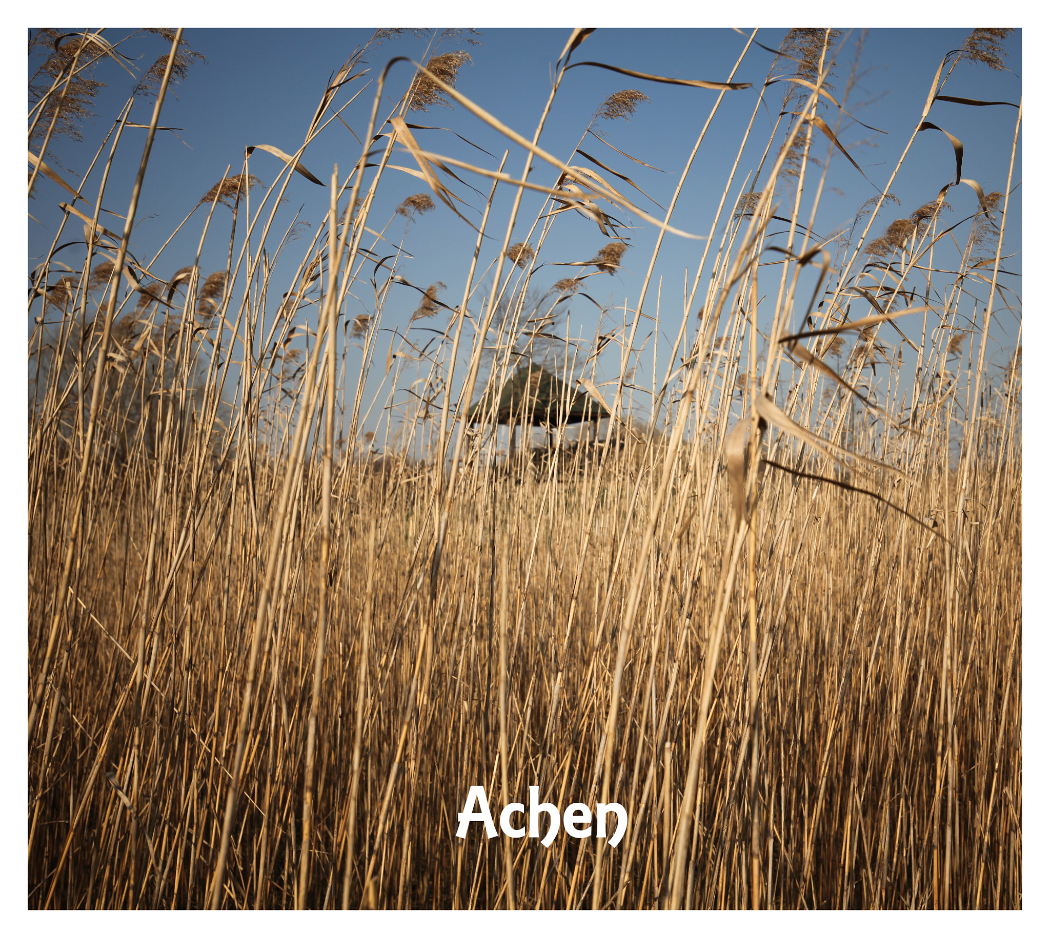 Canon EF 16-35mm F4L IS USM sample photo. Wind photography