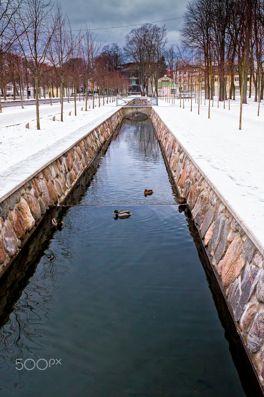 Canon EF-S 24mm F2.8 STM sample photo. Ducks in the canal photography