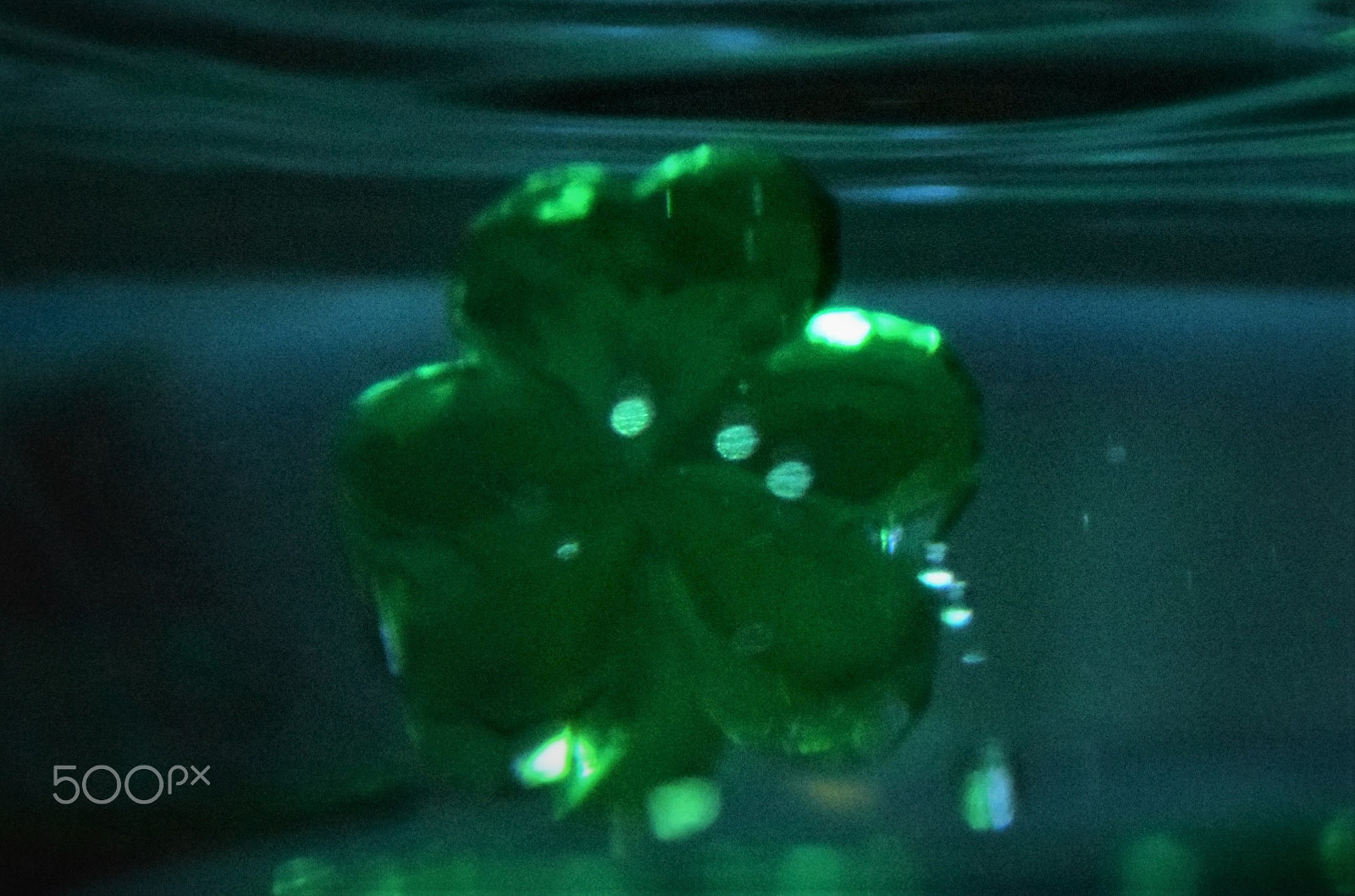 Nikon AF-S DX Micro Nikkor 40mm F2.8 sample photo. The shamrock photography