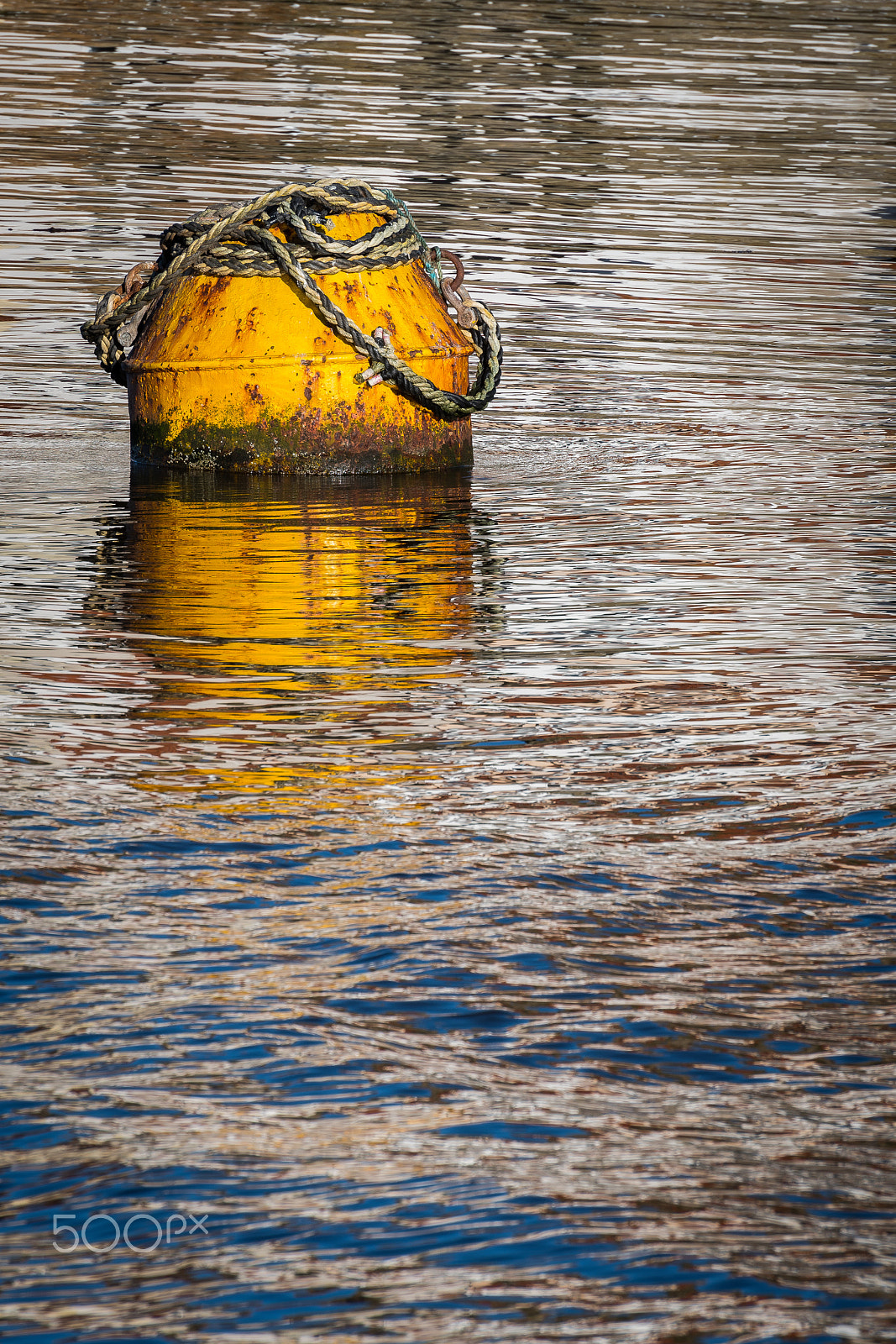 Nikon D500 sample photo. Buoy photography
