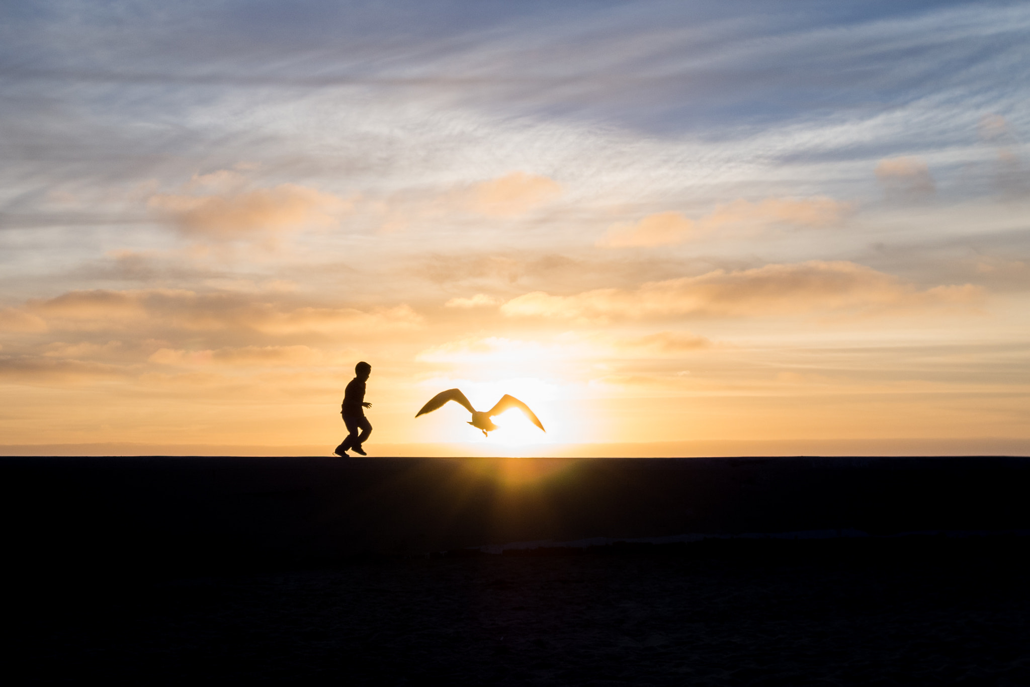 Olympus OM-D E-M10 II sample photo. Boy & bird photography