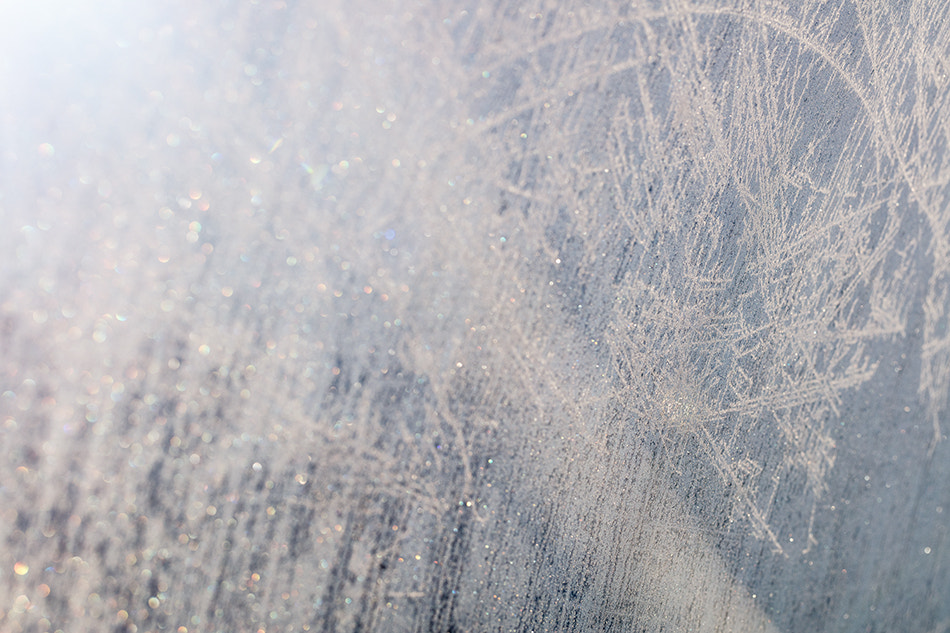 Canon EF 100mm F2.8L Macro IS USM sample photo. Frosty winter photography