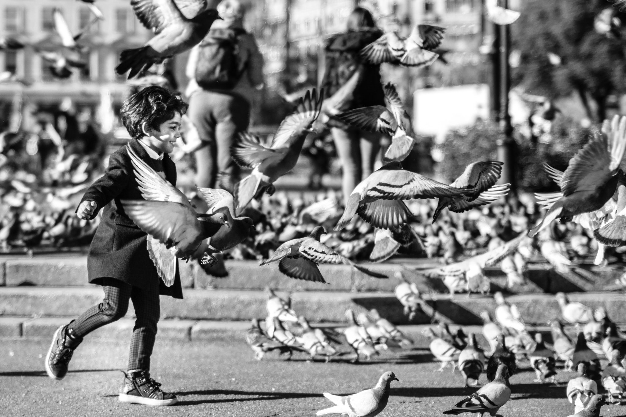 Nikon D7100 + Sigma 50mm F1.4 EX DG HSM sample photo. Chasing pigeons photography