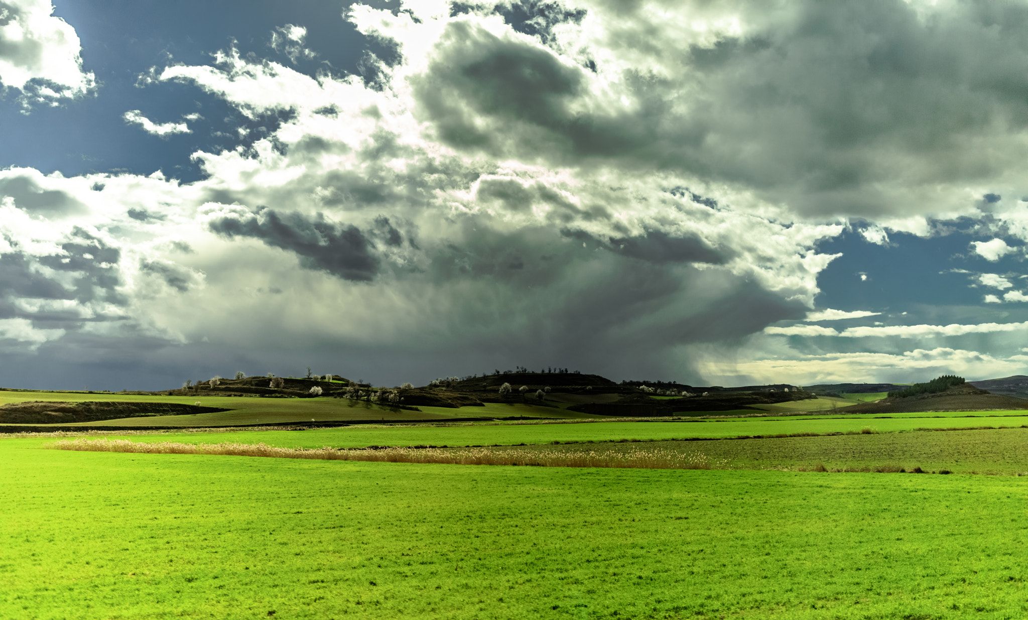Canon EF 35mm F1.4L II USM sample photo. Tormenta photography