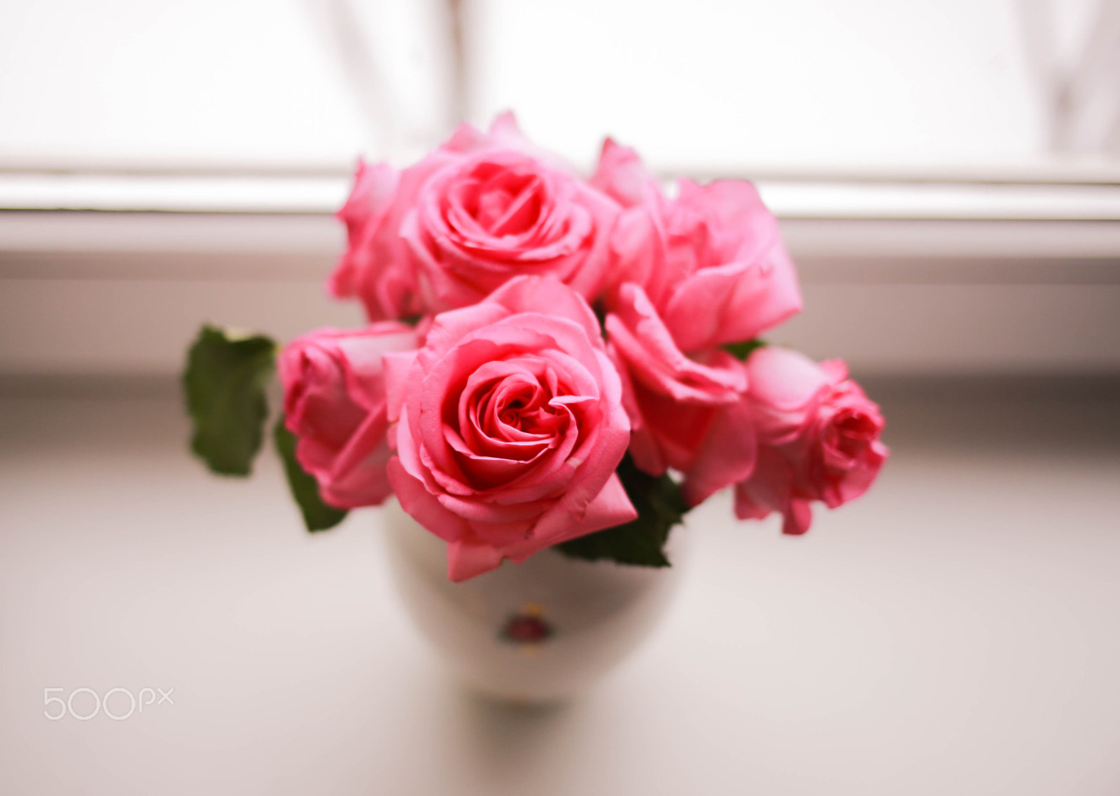 Canon EF 35mm F2 IS USM sample photo. Rose roses photography