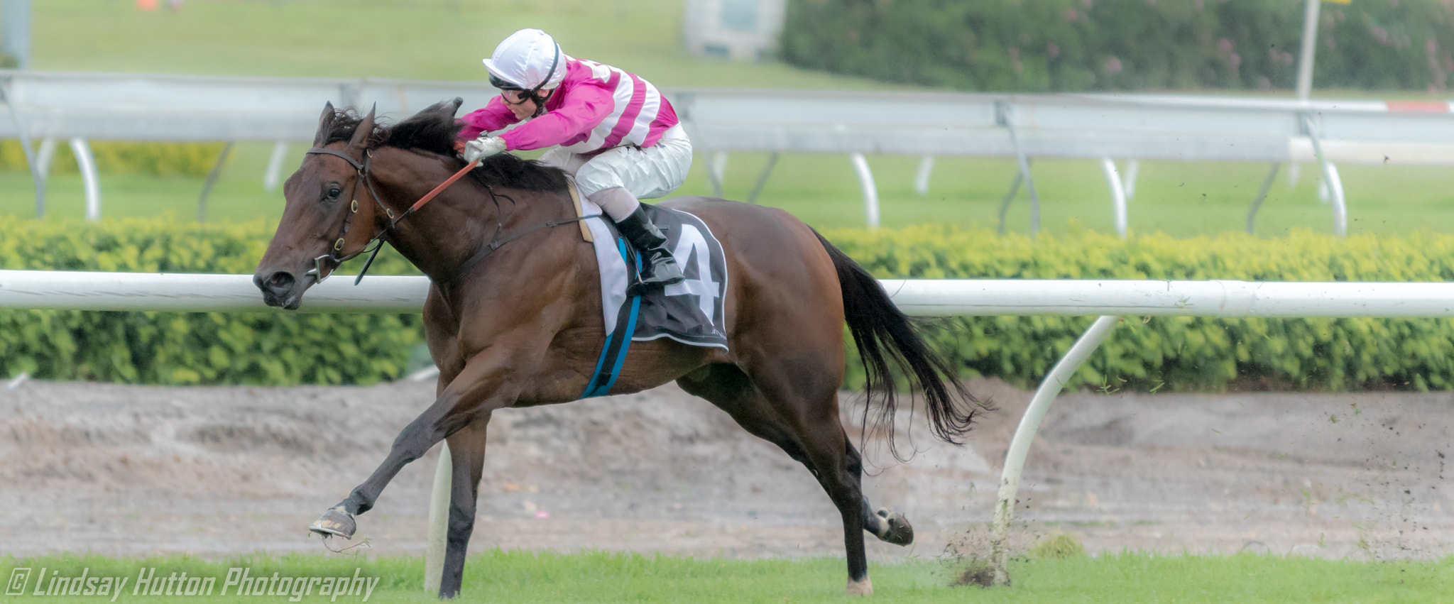 Sigma 70-200mm F2.8 EX DG OS HSM sample photo. The races photography