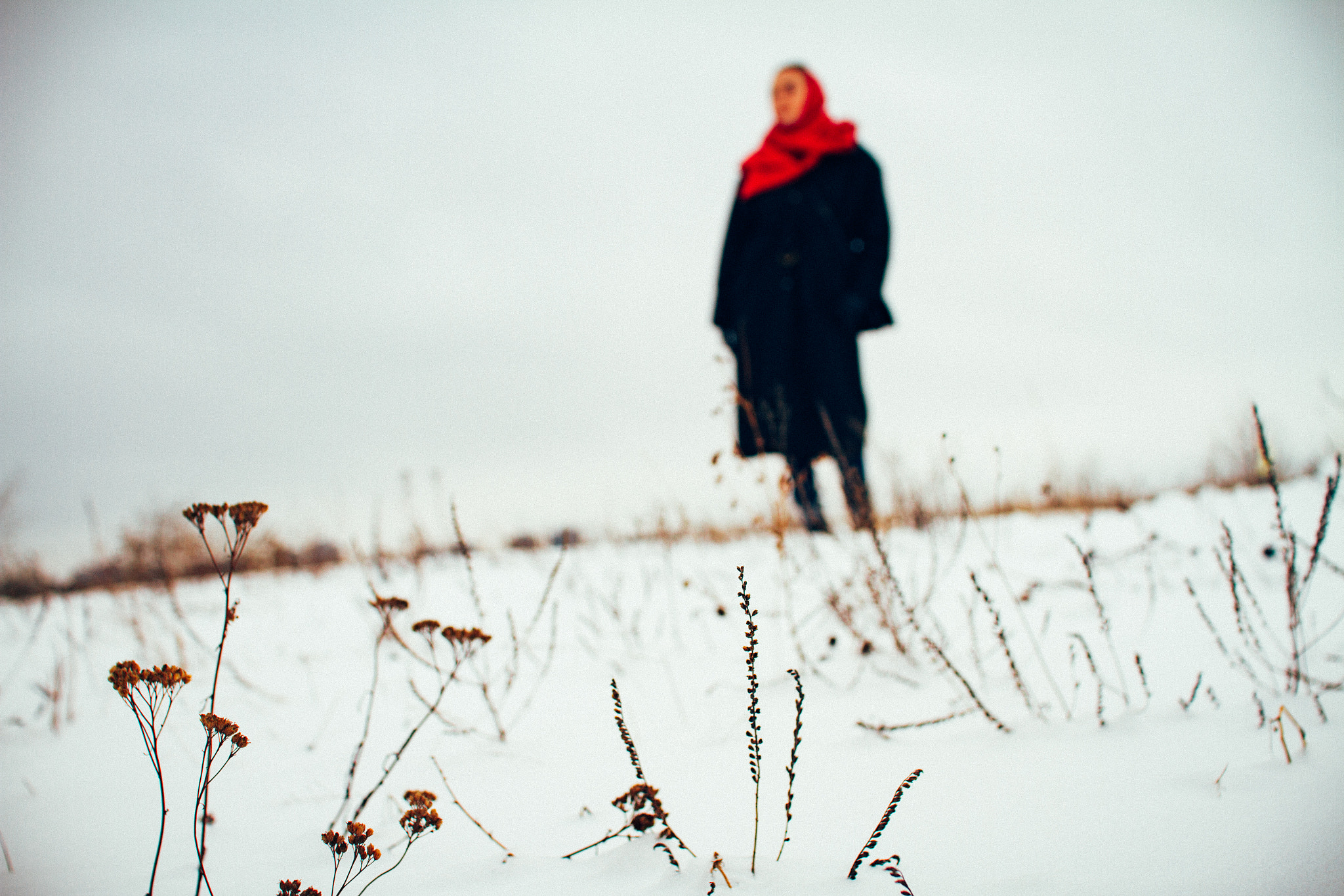 Sigma 30mm F1.4 EX DC HSM sample photo. Polina photography