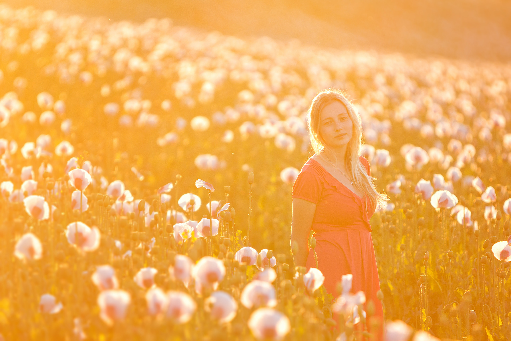 Canon EF 70-200mm F2.8L IS USM sample photo. Sunset photography