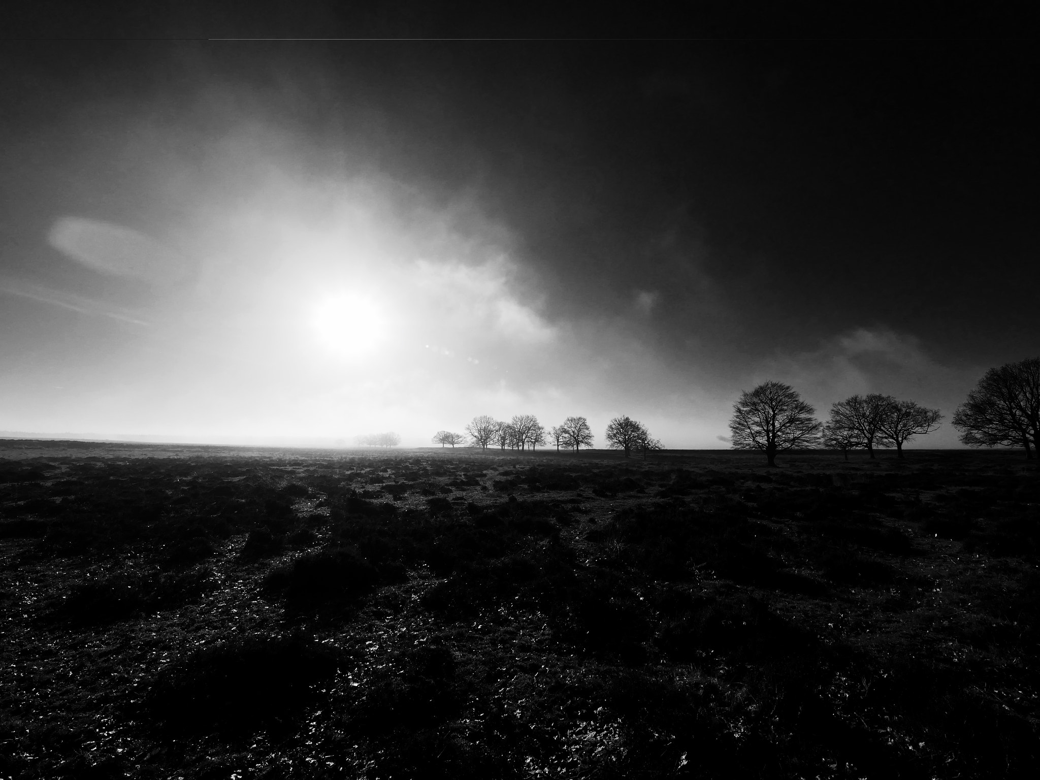 Panasonic Lumix DMC-GX8 + Olympus M.Zuiko Digital ED 7-14mm F2.8 PRO sample photo. On a foggy morning photography