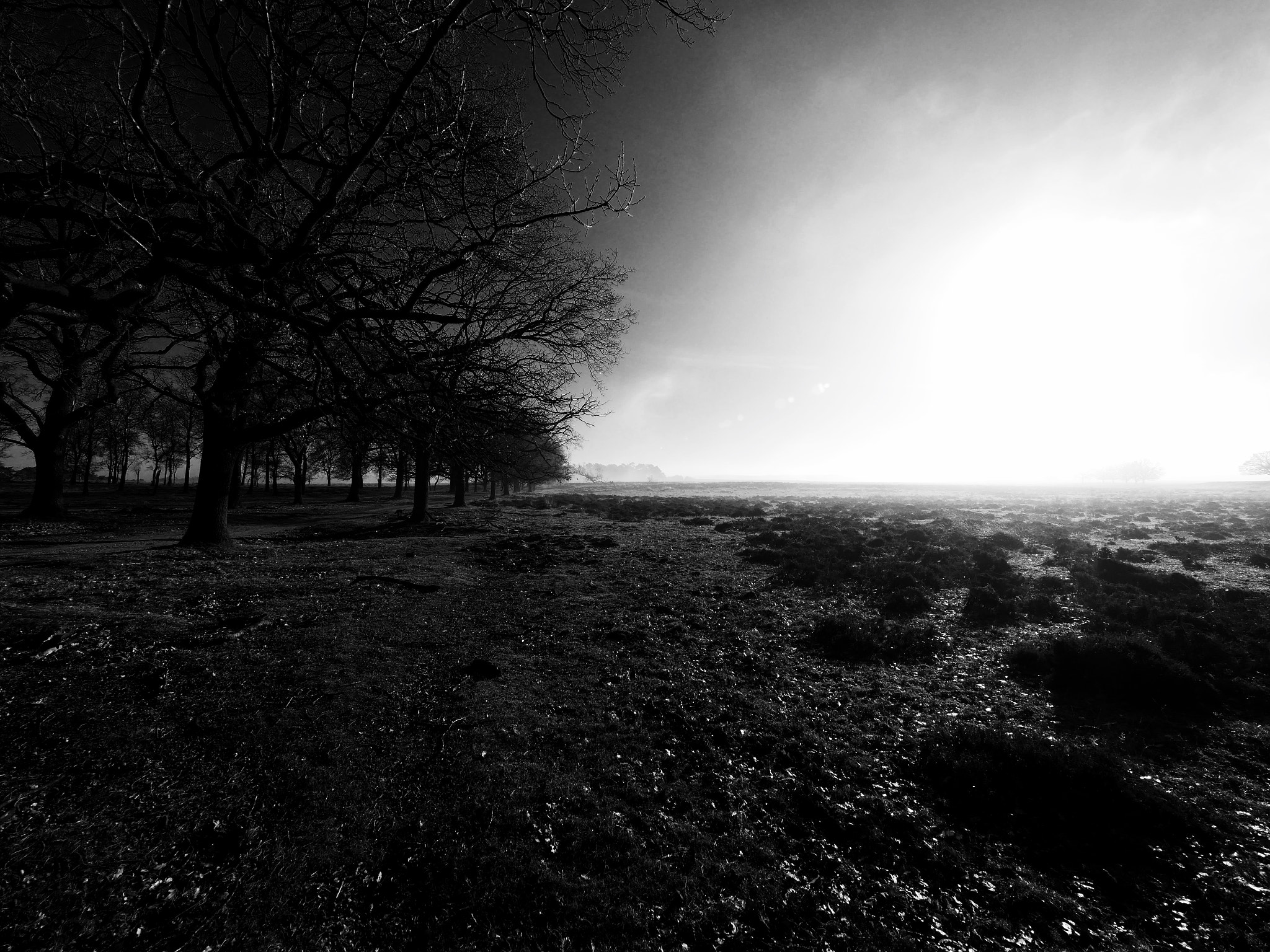 Panasonic Lumix DMC-GX8 + Olympus M.Zuiko Digital ED 7-14mm F2.8 PRO sample photo. On a foggy morning photography