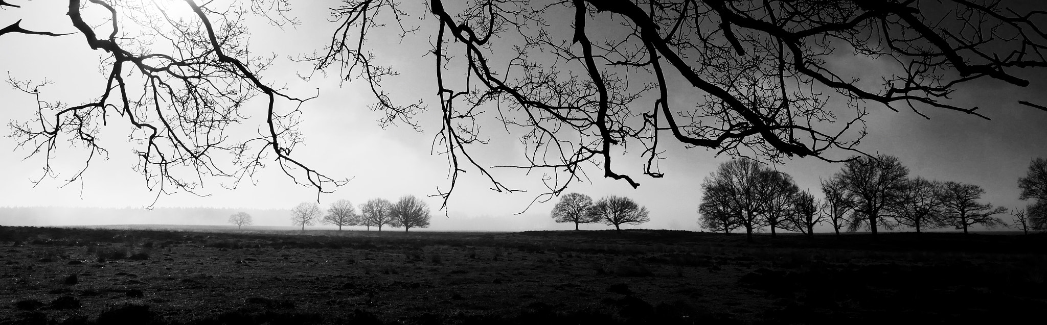 Panasonic Lumix DMC-GX8 + Olympus M.Zuiko Digital ED 7-14mm F2.8 PRO sample photo. On a foggy morning photography